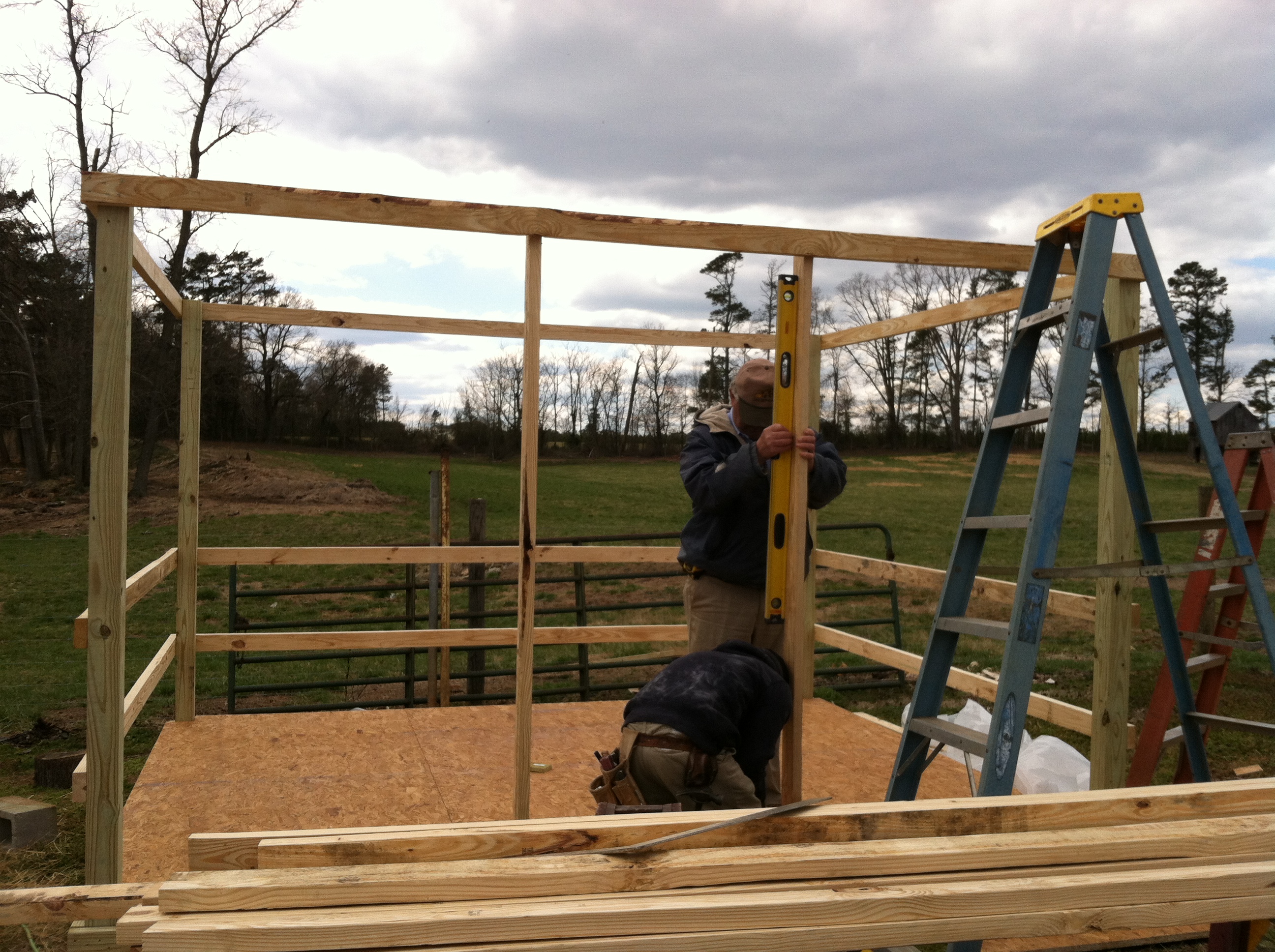 The beginnings of "Fluffy Bottoms Barn".  So thankful to have a father who is a builder and still makes his 40 year old daughter's dreams come true!