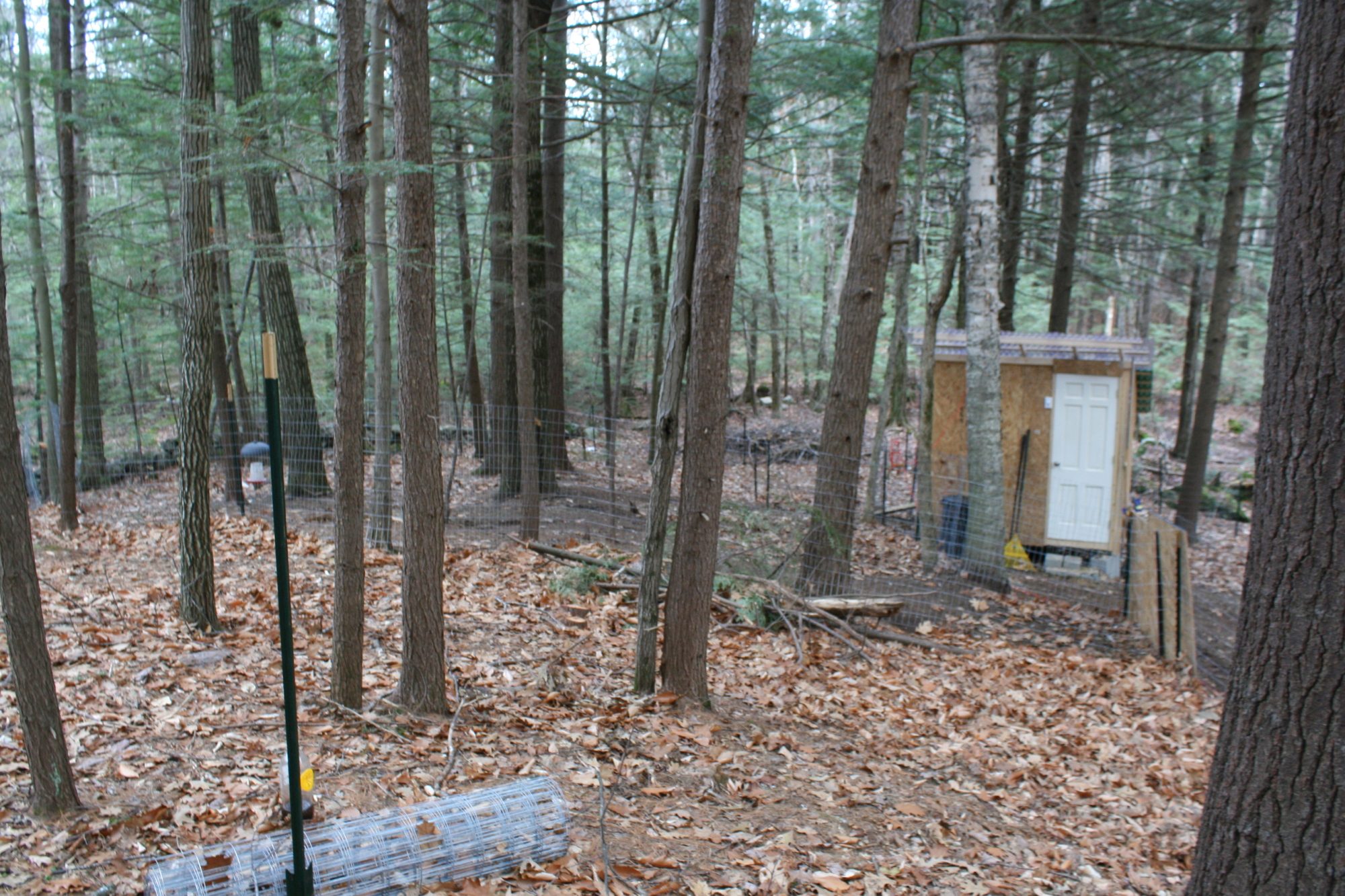 The big coop and attached pasture, running out to the stone wall.