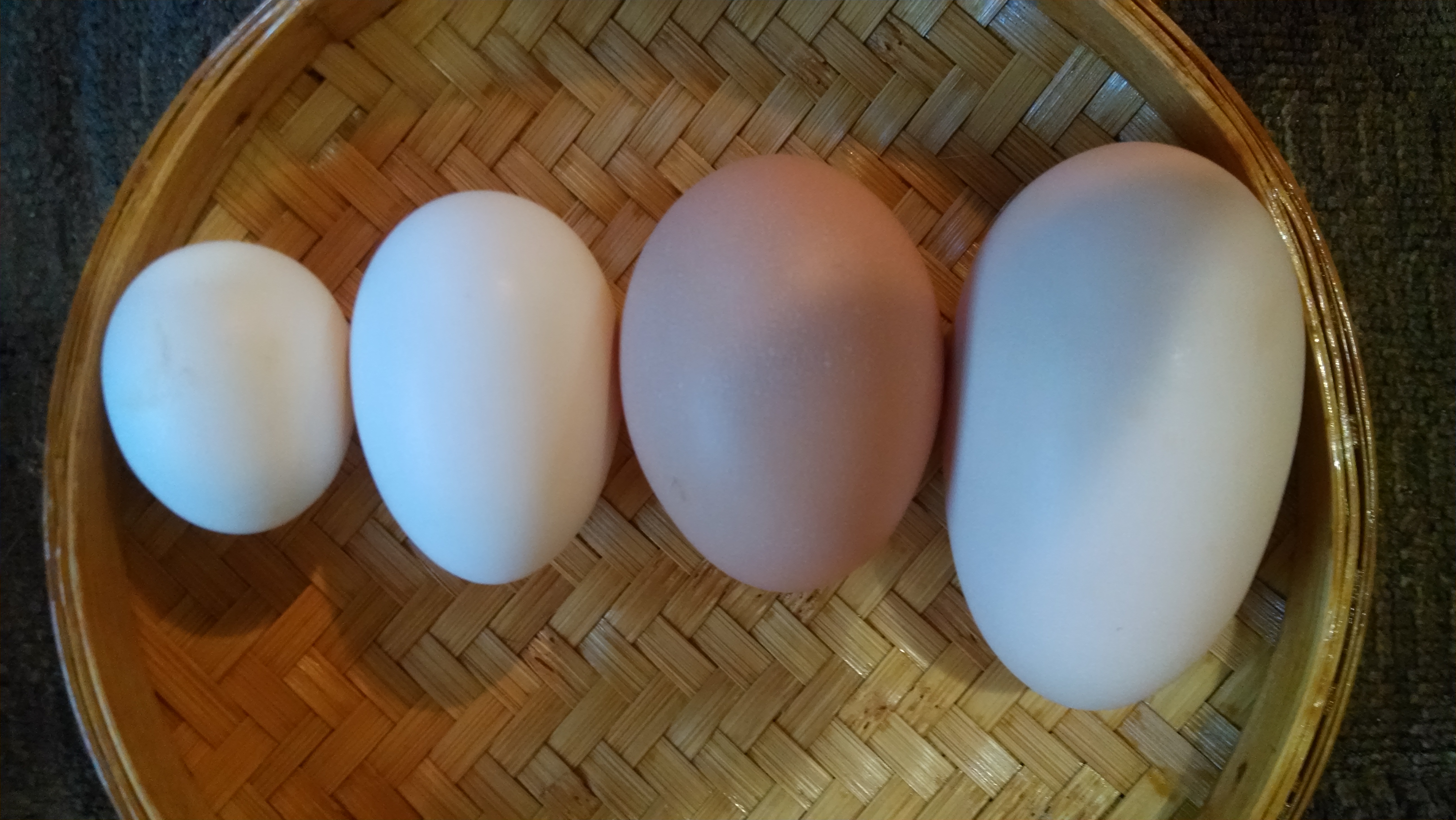 The biggest is a double yoker, next is a jumbo, next is a Polish then the next is a bantam egg.