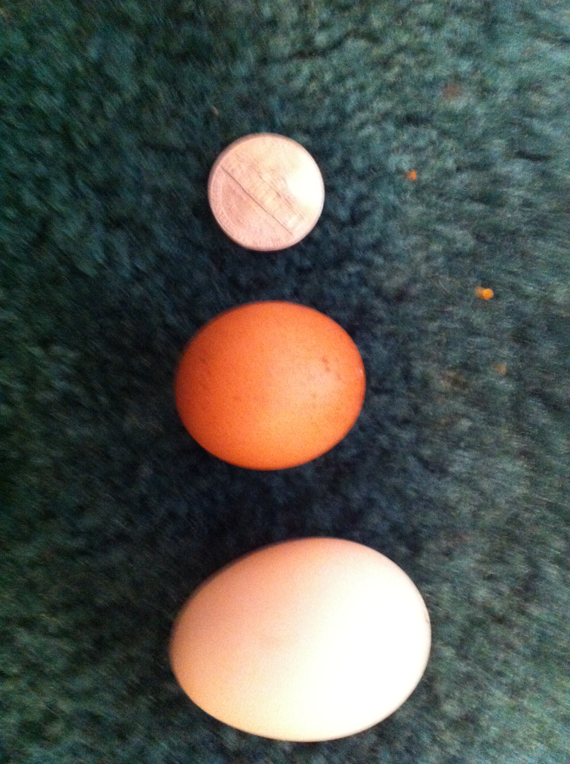 the bottom egg is a bantam egg and the egg above it is one of our Welsummer eggs this egg is smaller than any egg we have ever gotten