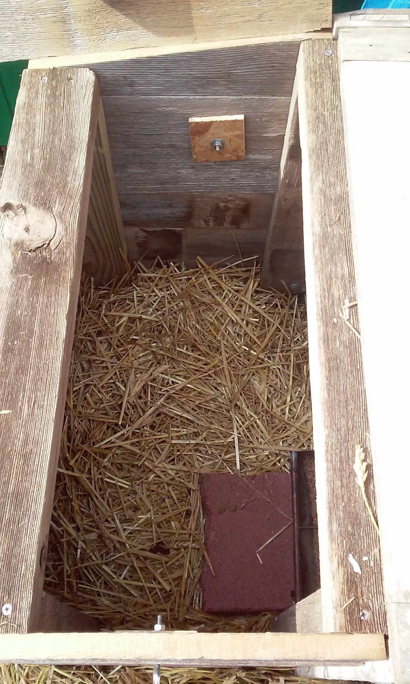 The brooder box is two 2'x2' squares similar to the end panel with some old cedar 1x4 fencing nailed around them. I used additional cedar boards to create a wood floor.
