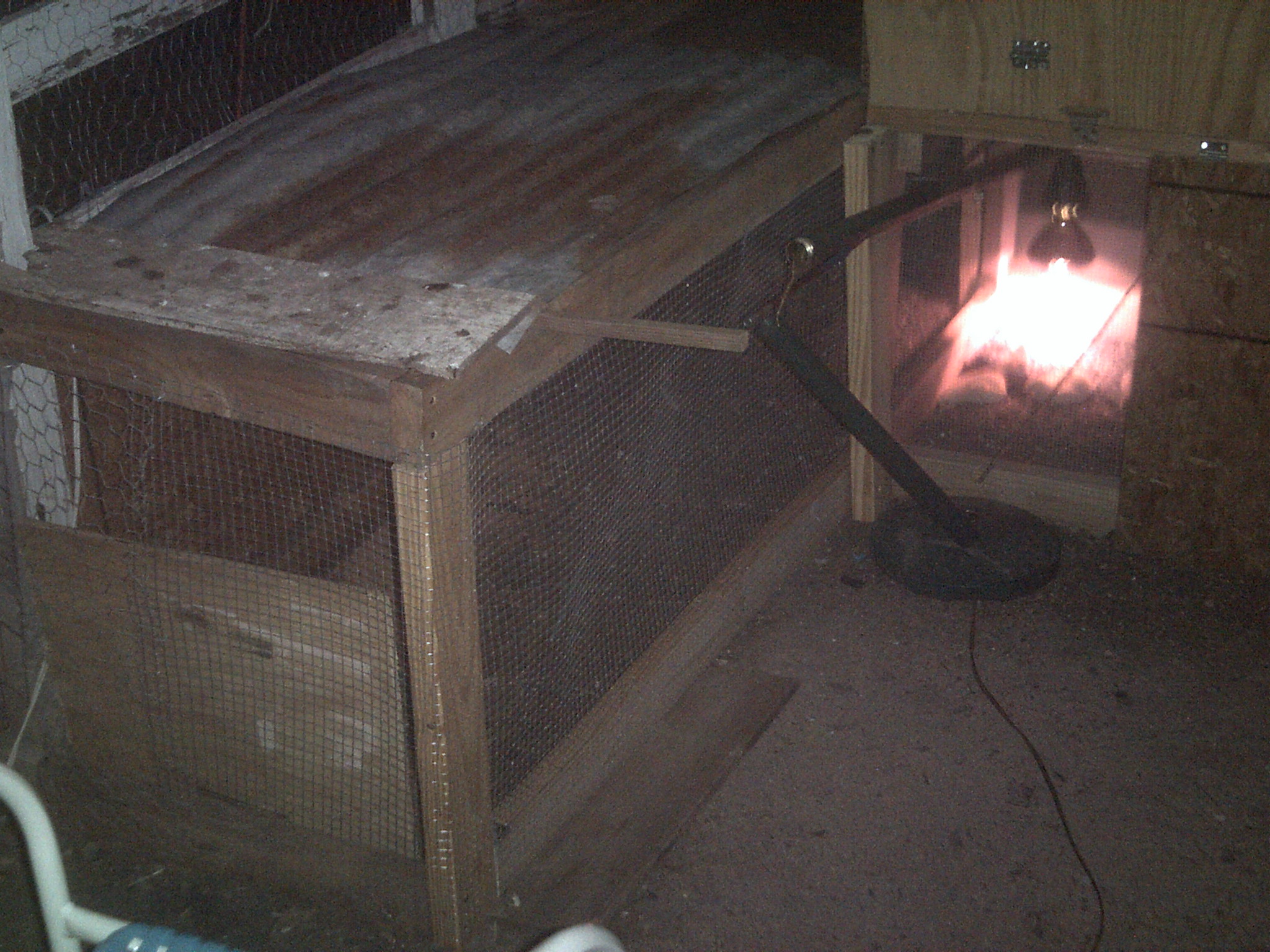 the brooder pent house is almost competle i added a 8ft by 2ft rectangle to my brooder box which is 4ft by 2.5ft  that's alot of space you say? well thats ok i have alot of chicks