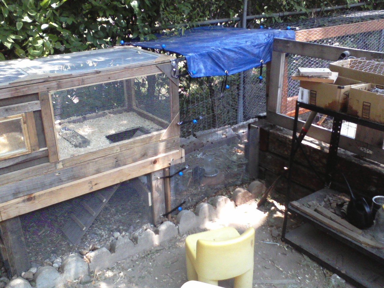The brooder turned coop.