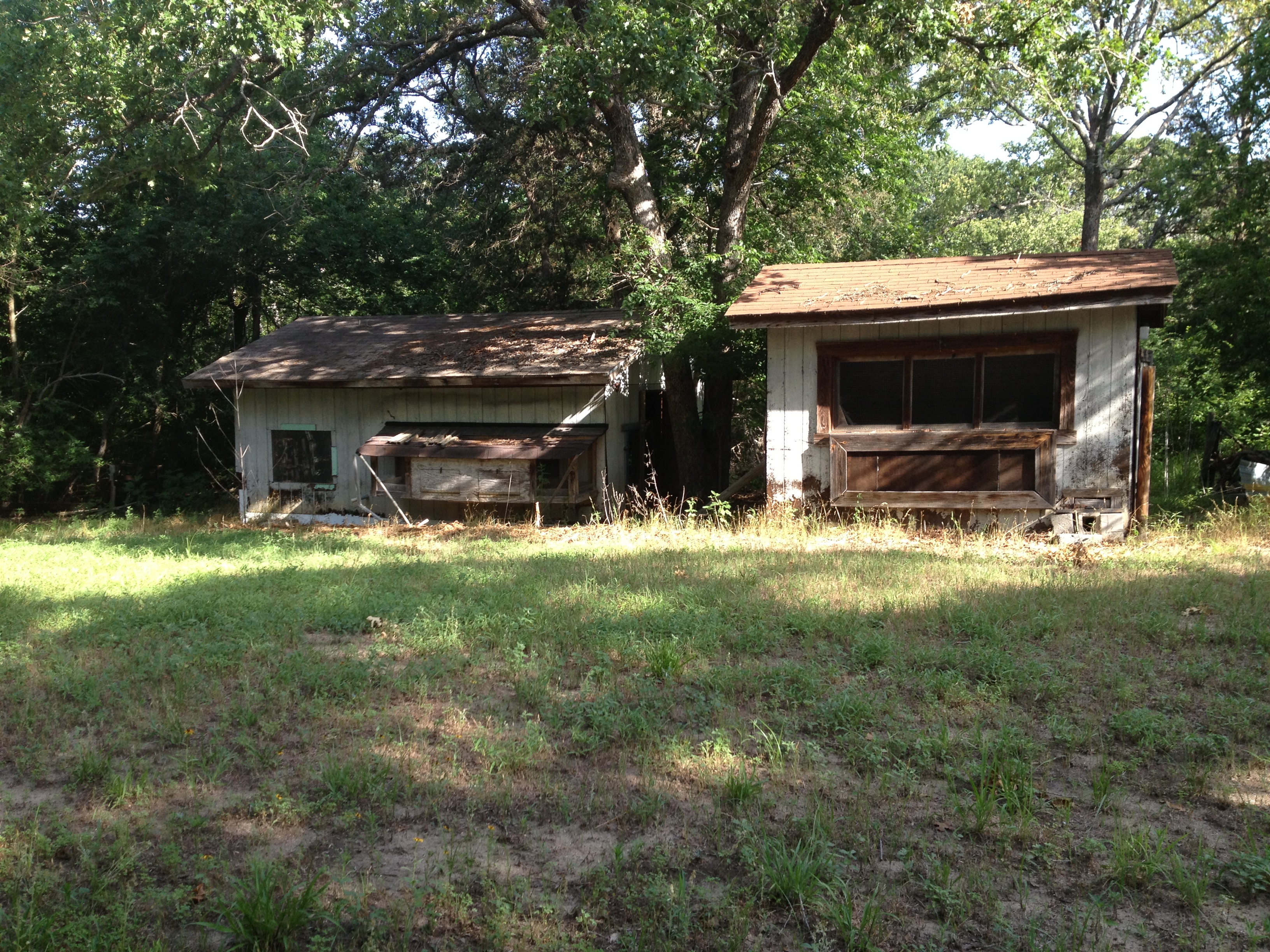 The building on the right is a 12x8 hen house. The building on the left is a "support building with three rooms. The center room contains four brooders.