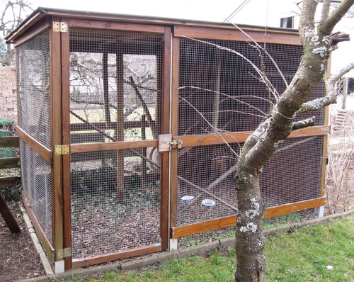 The cage that was purchased on ebay and recycled into the chicken run.  Wooden roof was replaced with plexyglass sheet.  It was used to keep squirrels.  And I thought I was strange...