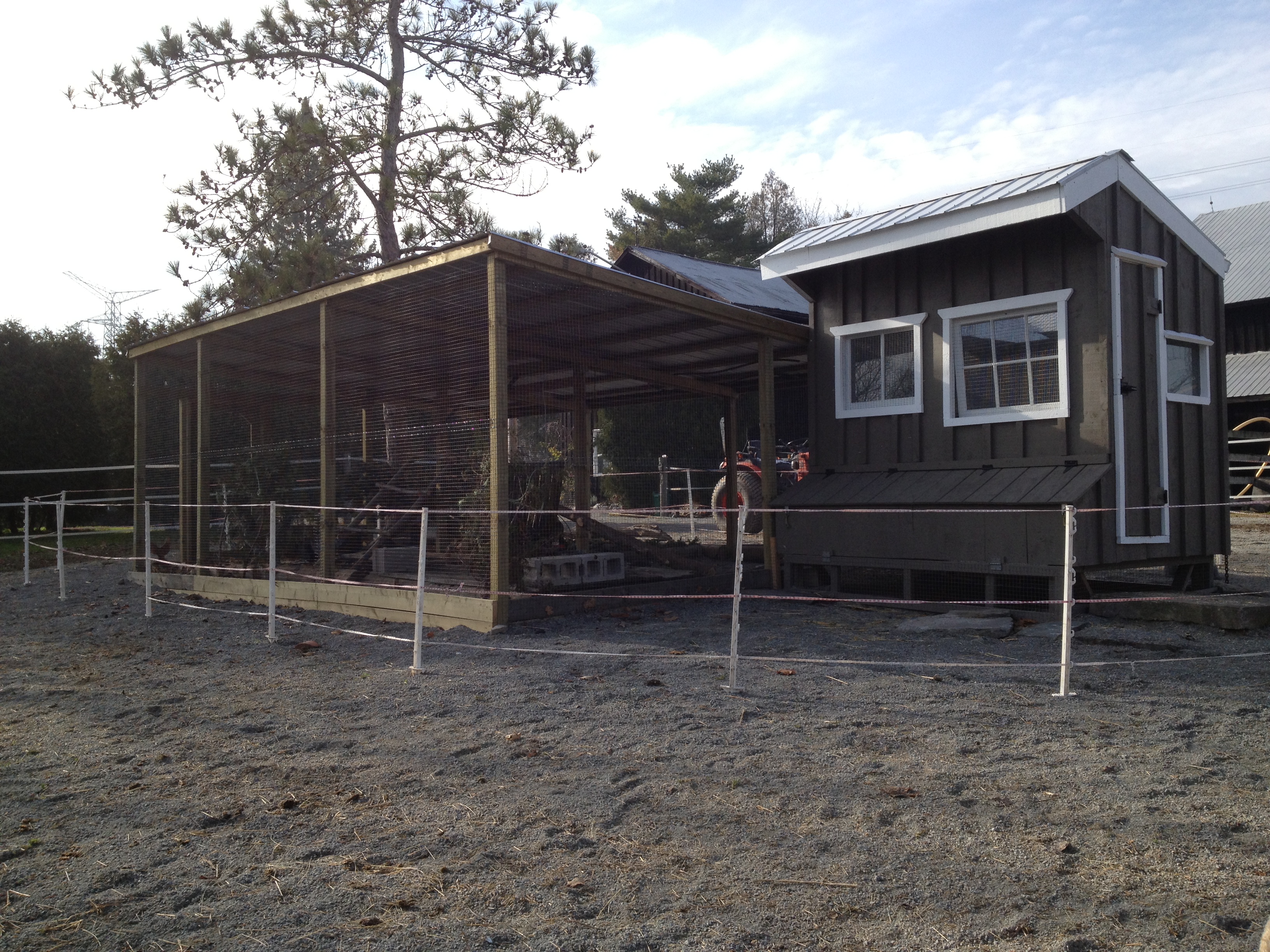 The chicken coop is in one of the horses winter paddocks For this winter I put up a temporary electric fence to keep the horses away from the coop & run I'll see how I like the set up and then next year I will install a more permanent electric fence.