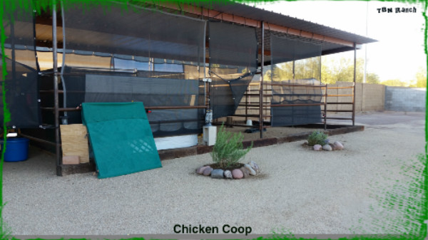 The Chicken Coop