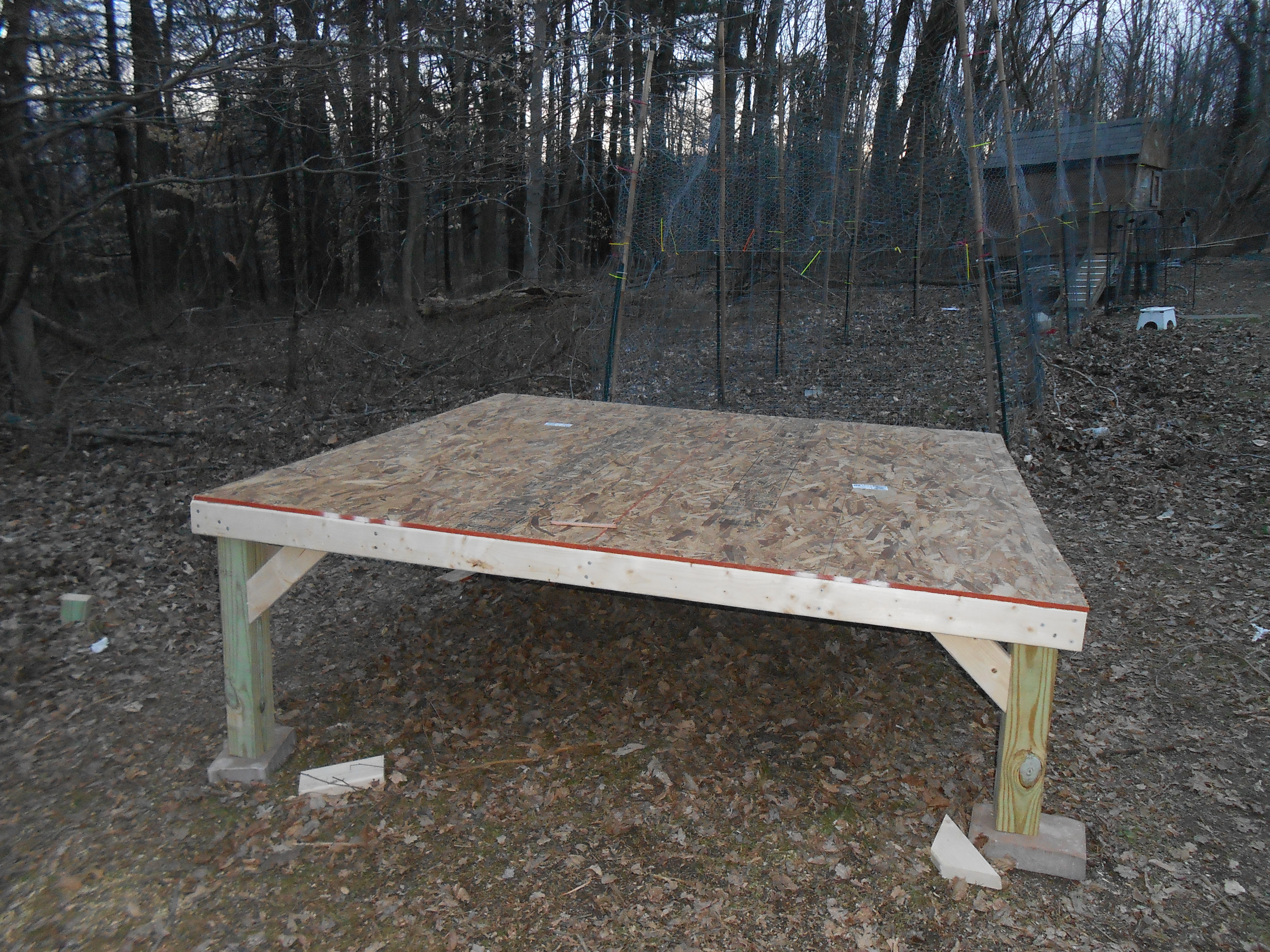 The chicken door will  face the other coop, with 8 nest boxes on the right and roosts on the left. The people door will be in the foreground. When we are done we will split the fencing and attach it to either side of the coop so that both coops will share the run.