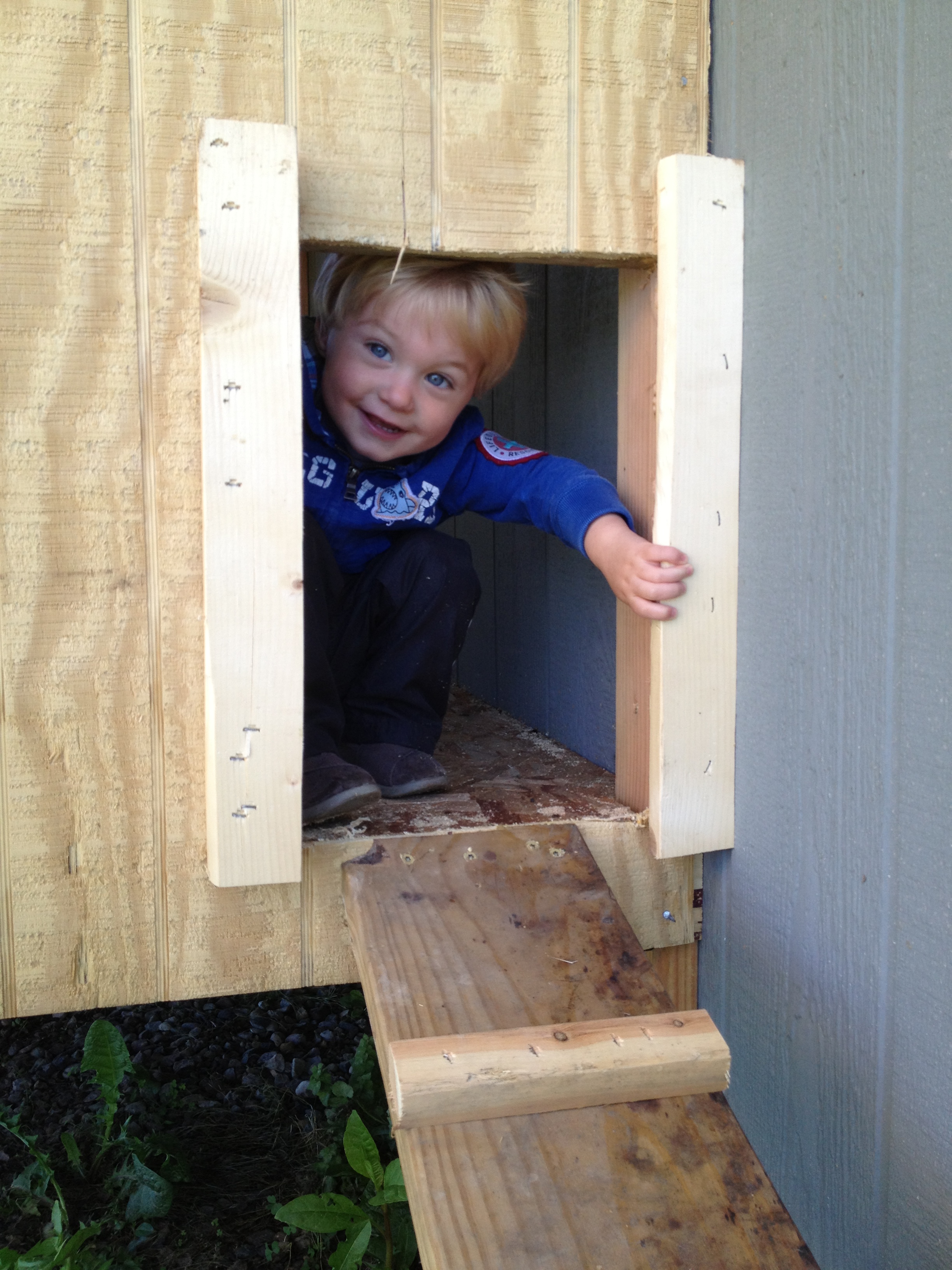 The chicken entry has a sliding door so we can put them in at night and then open it up during the day.
