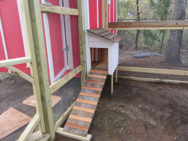 the chicken ramp is a really old plank I got out of a barn