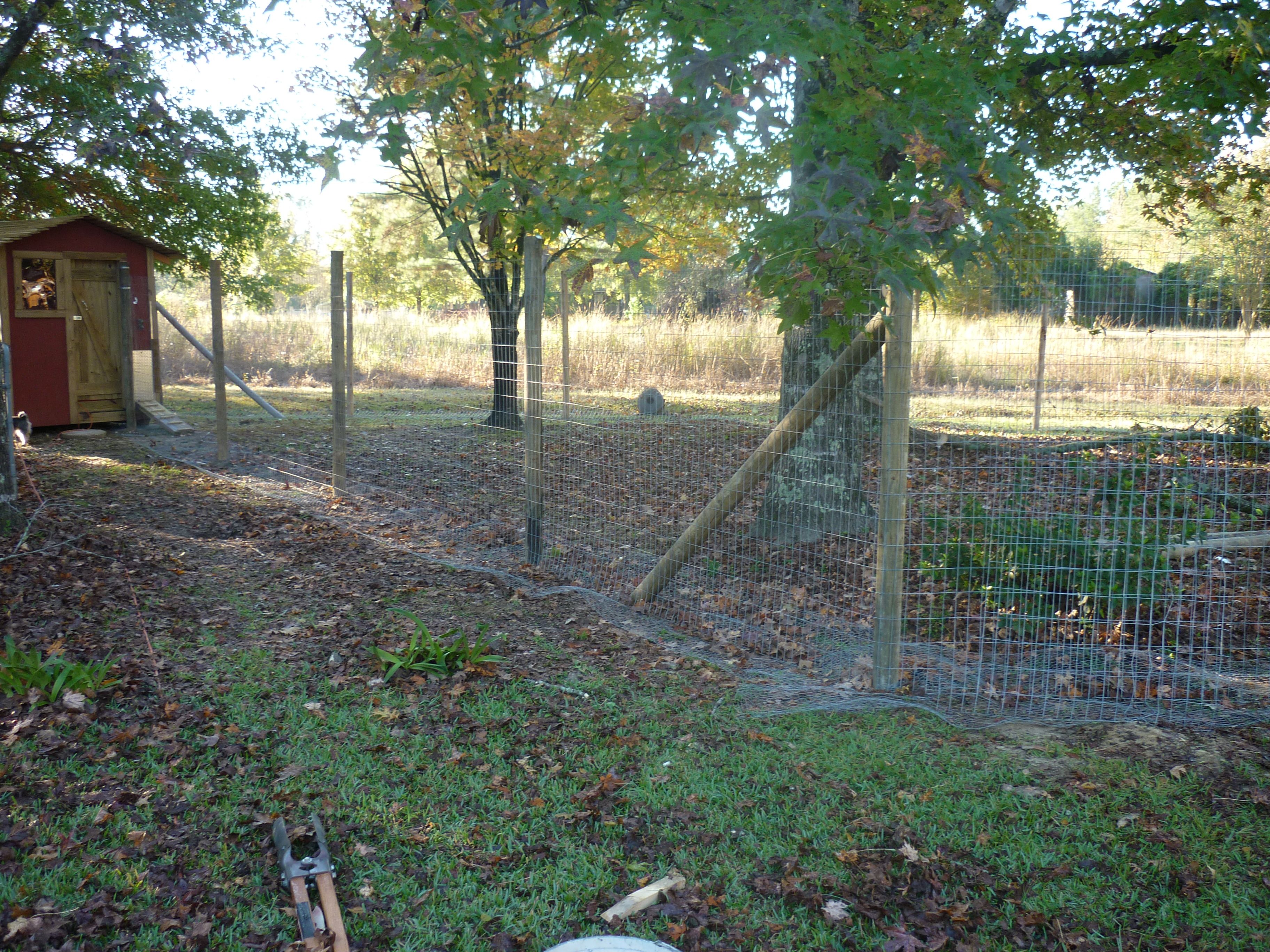 The chicken run.