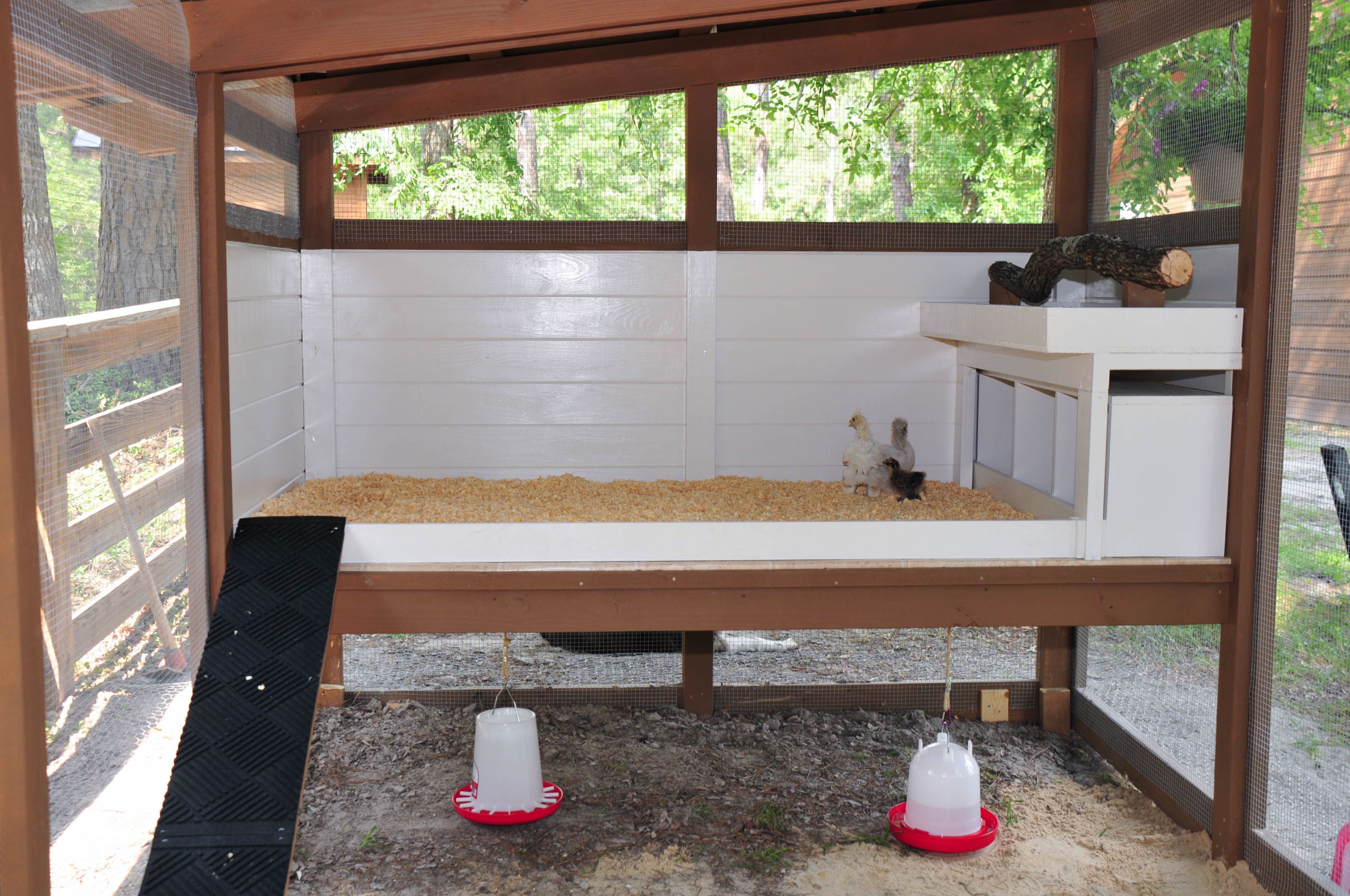 The chicken stage all finished with temporary feeders.