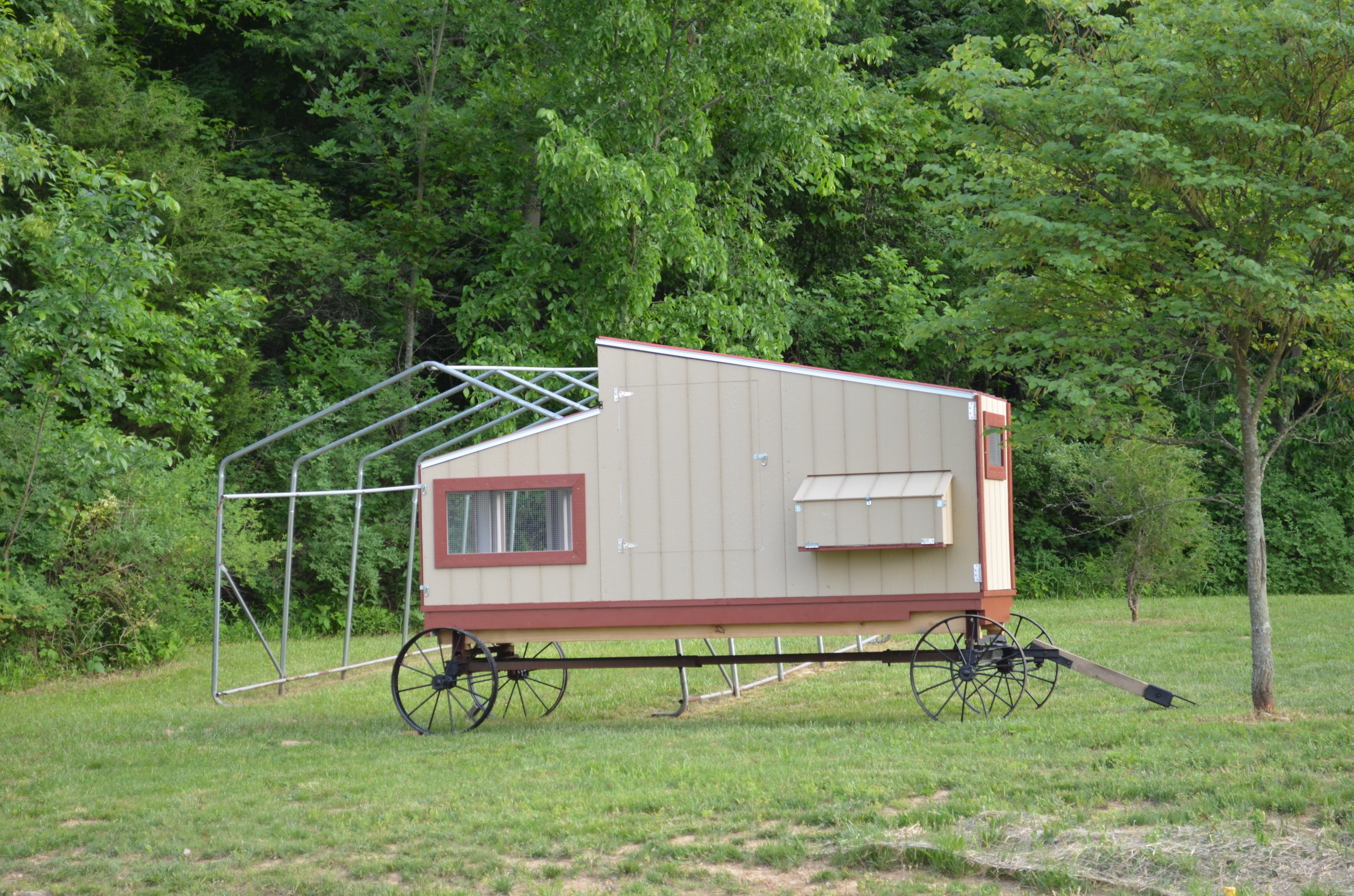 The chicken wagon (4' x 12') set in place.  The run isn't covered yet.