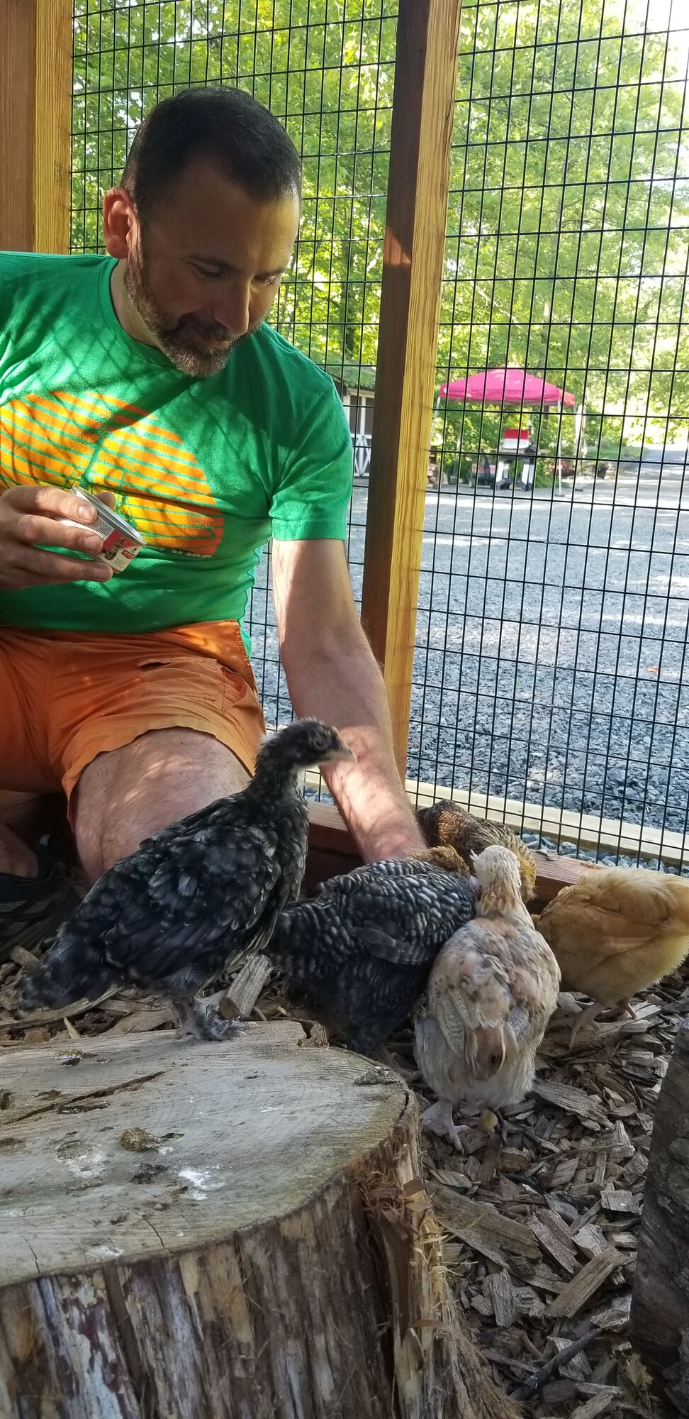 The chicken whisperer dispensing treats