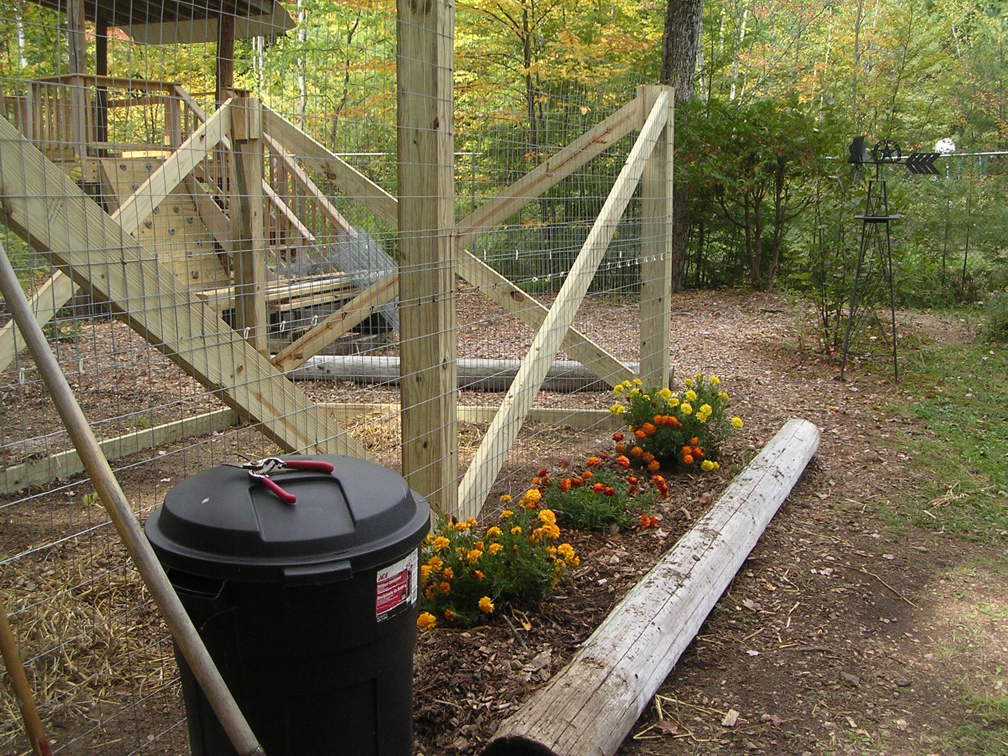 The Chicken Yard / Run