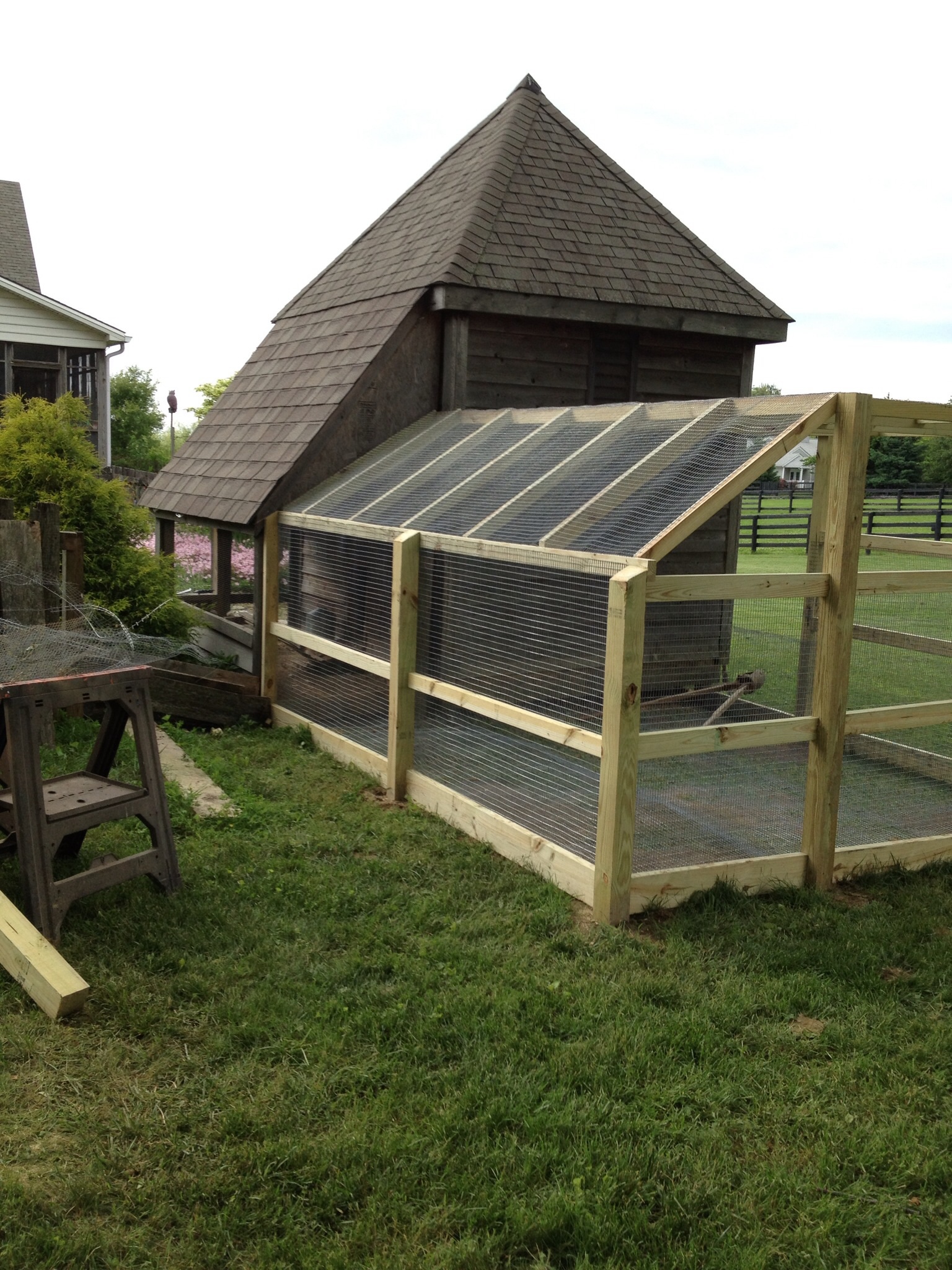 The chicks new outdoor garden for the winter months do the hawk can't get them, otherwise I the summer they are in the garden