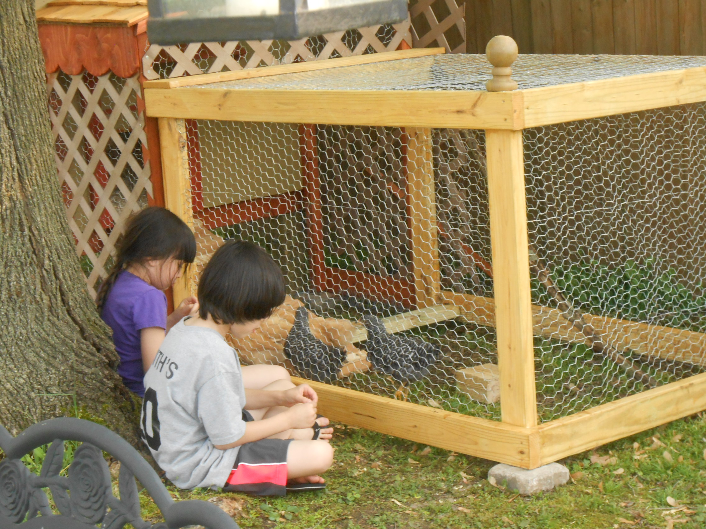 The children enjoying their new pets