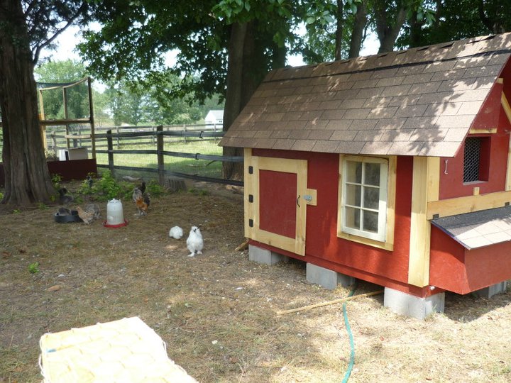 The complete bantam coop with an automatic waterer on the side