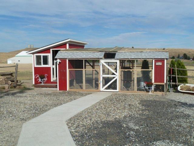 The completed project!  Home to my 10 chickens.