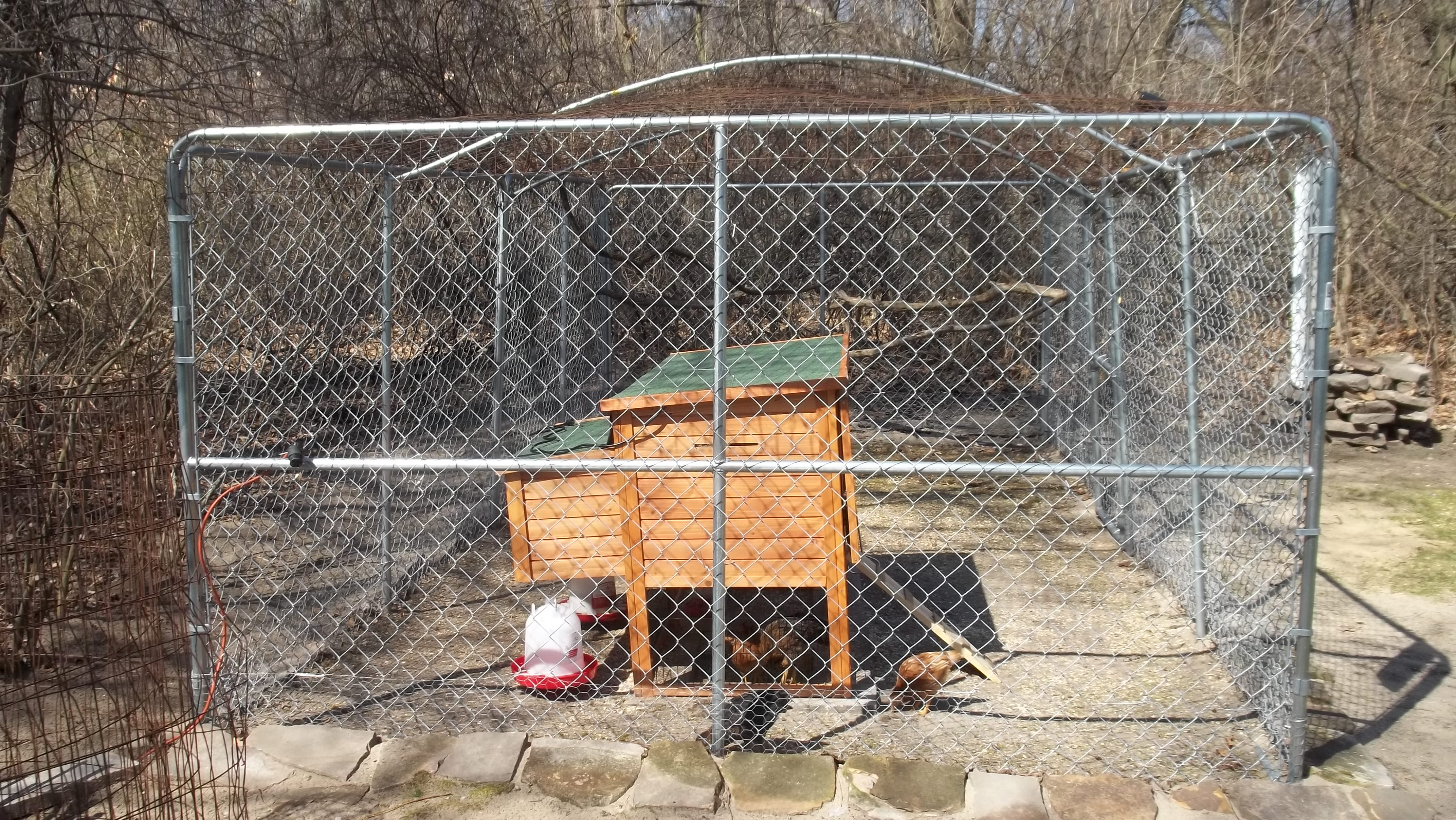 The completed run with coop. Bent conduit adds height to the 2x4 wire