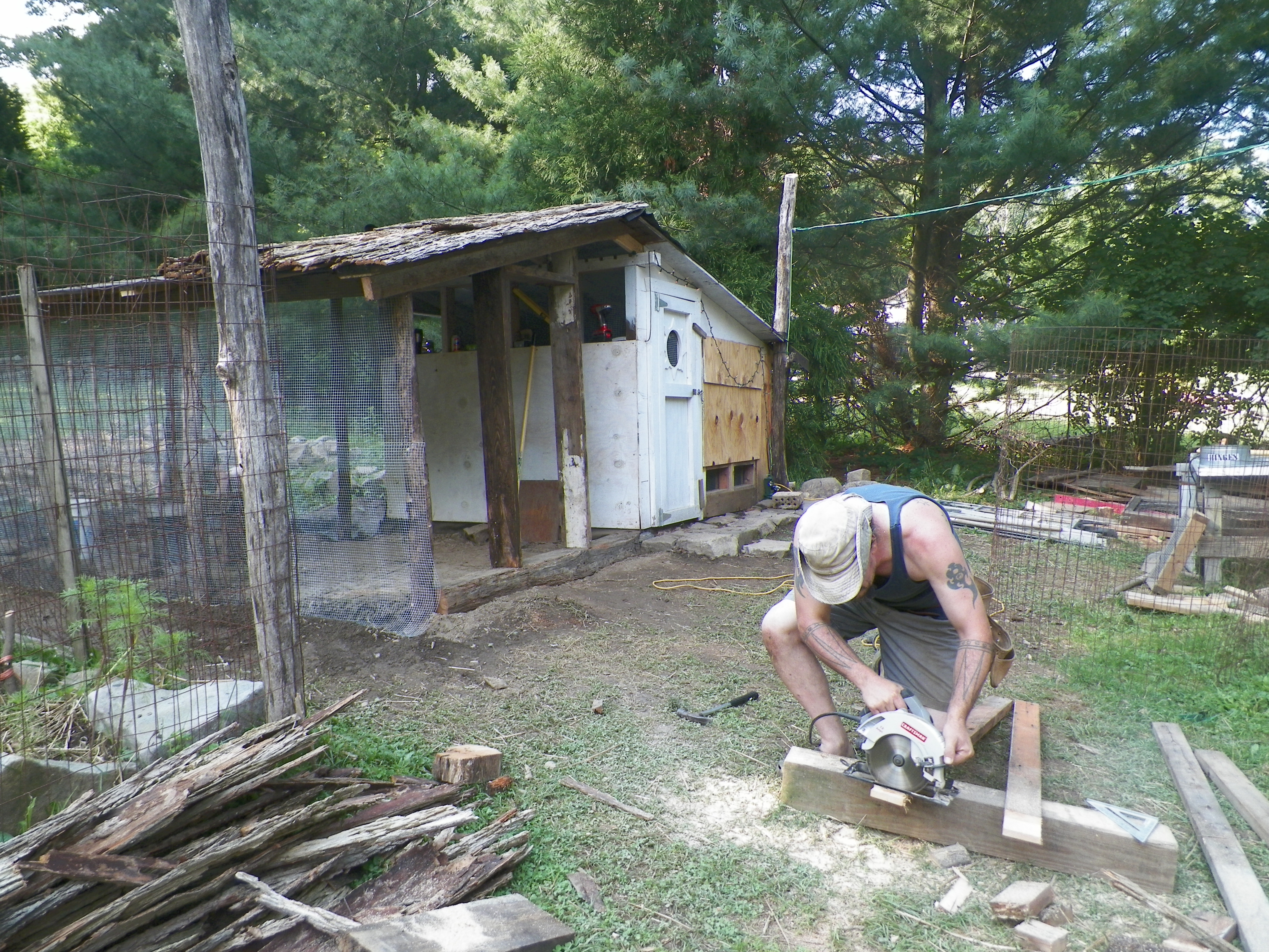 The construction zone. Need to get the chickens hard hats. We had to coop them up for part of it, as they were under foot and almost got hit by stuff.
