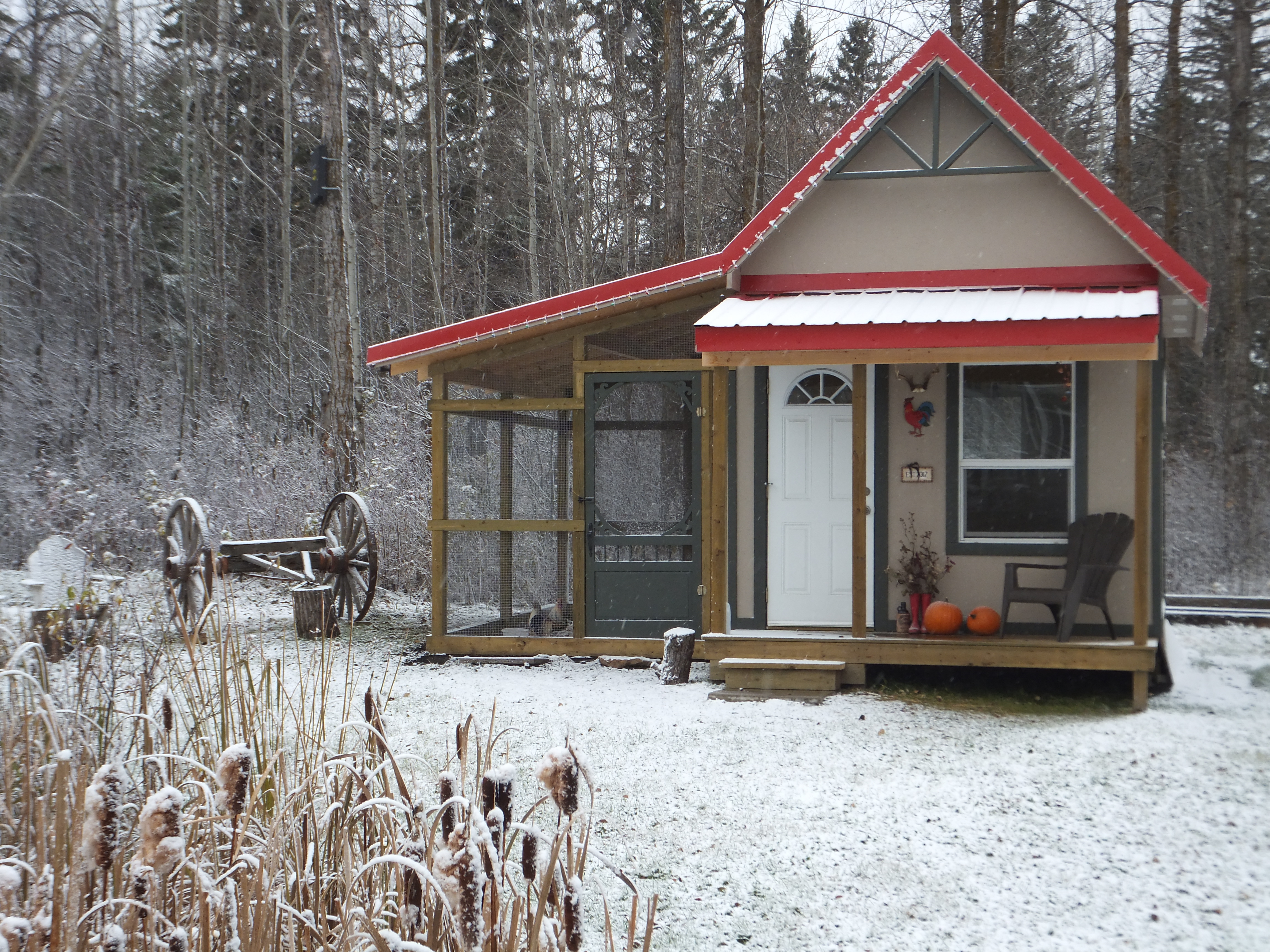 The coop after the first snow fall.
