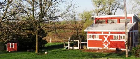 The coop and brooder house