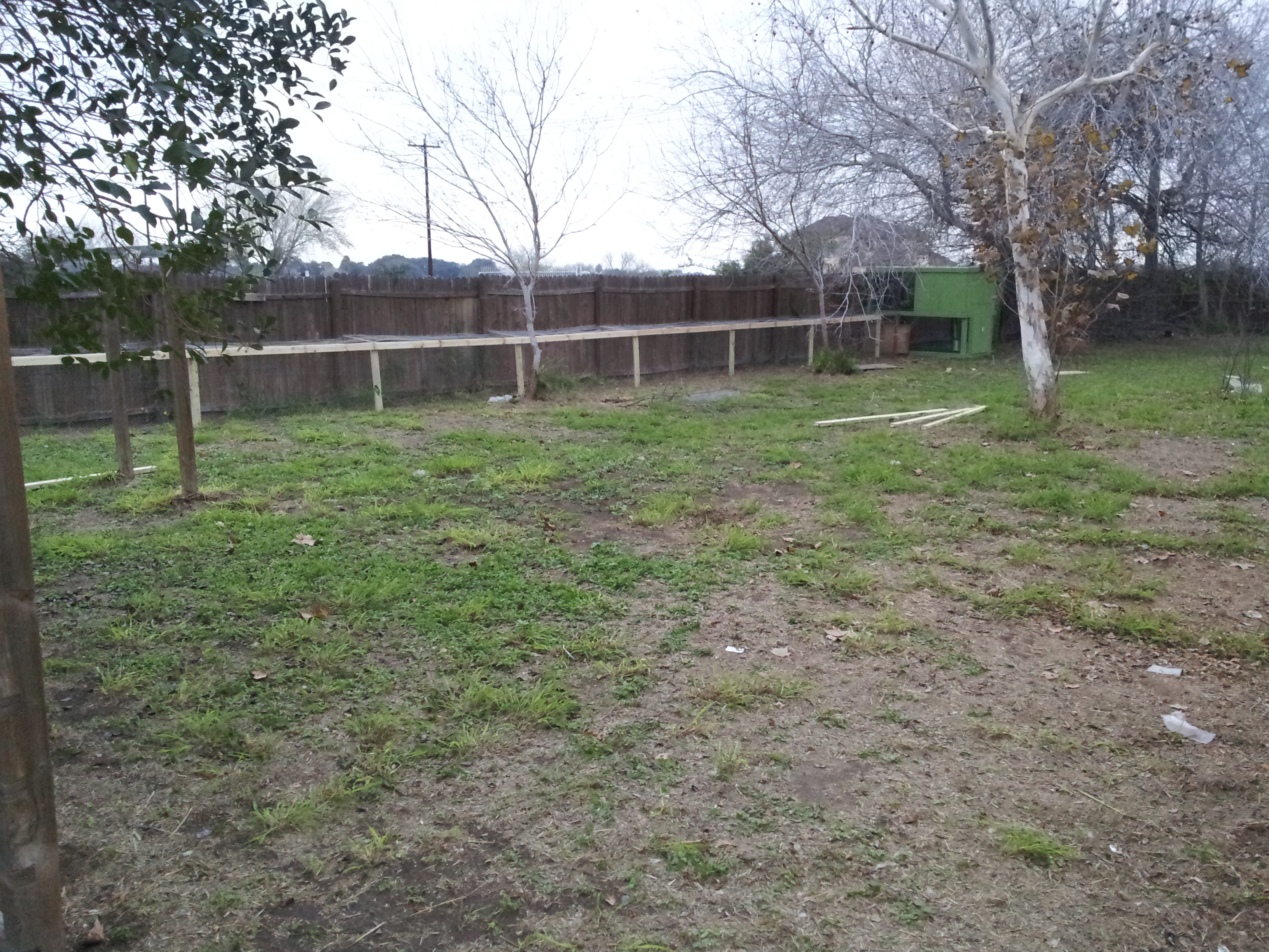 The coop and run.  It's nice to not have to weed-eat that fence anymore.