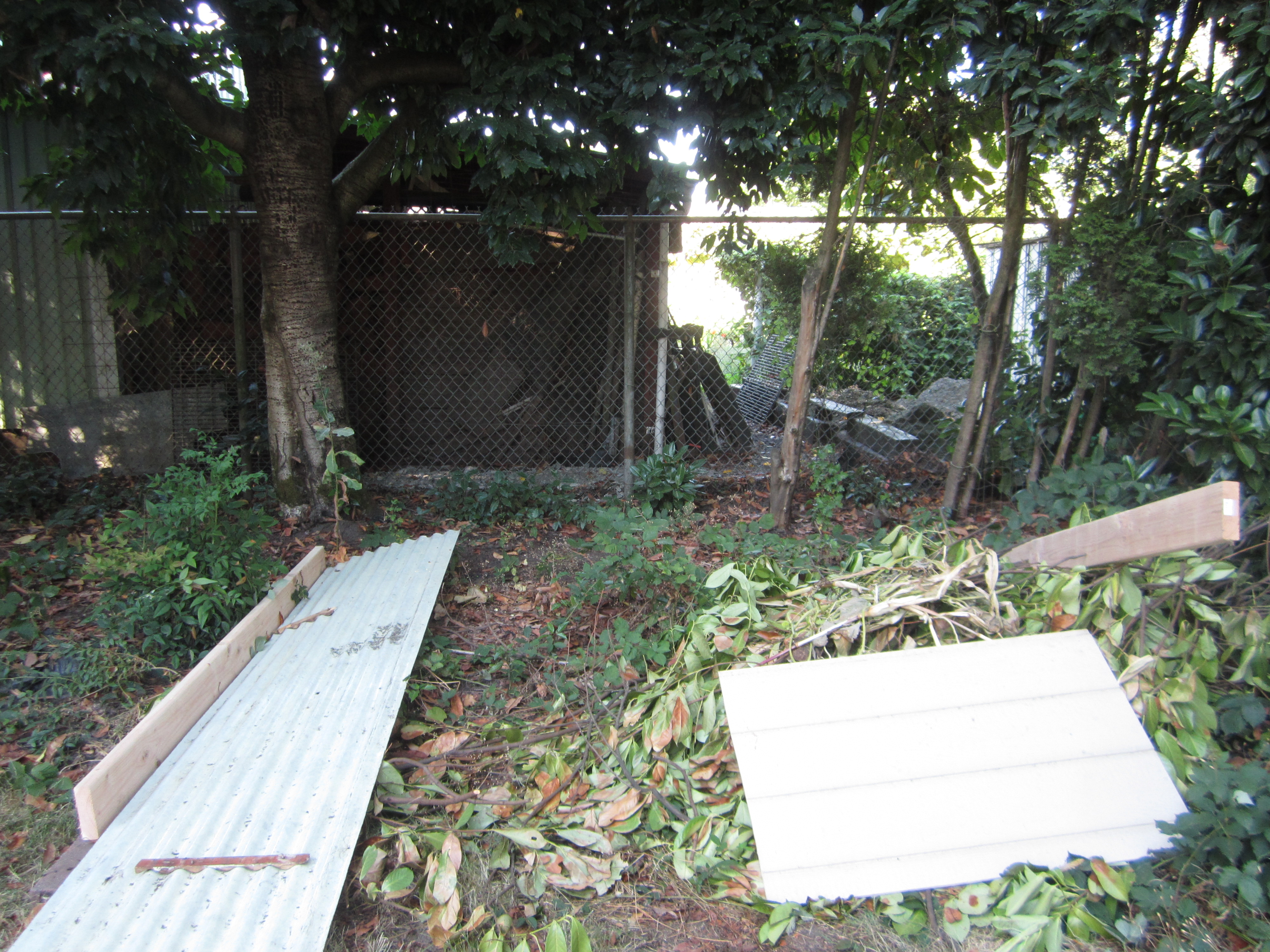 The coop are to start with, we had to clear out the brush a bit and level the ground somewhat