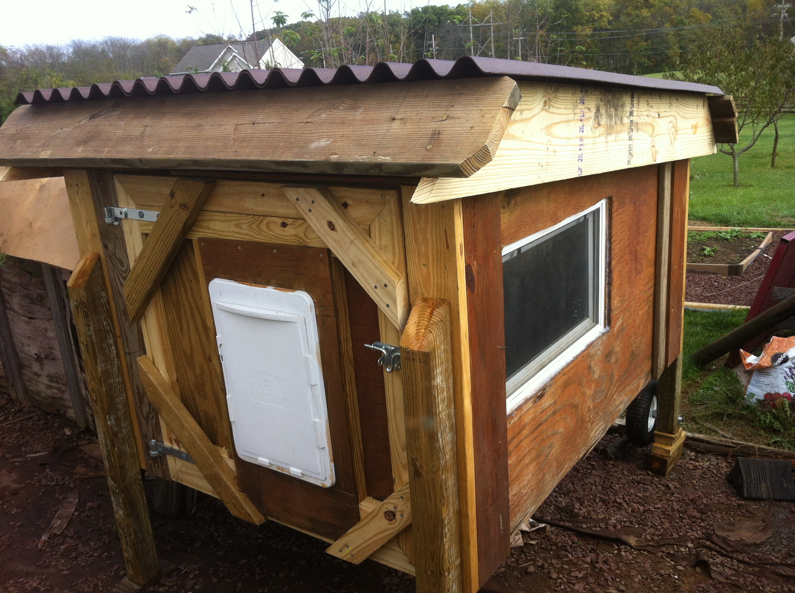 The coop converted from a dog house