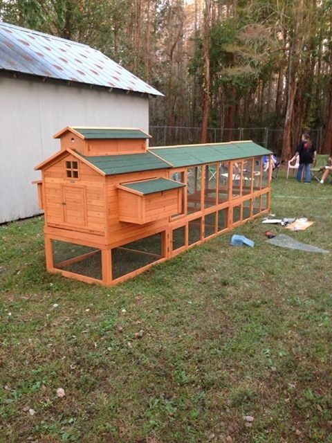 The coop from the side.