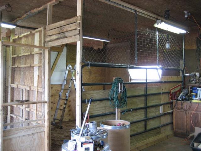 the coop in progress