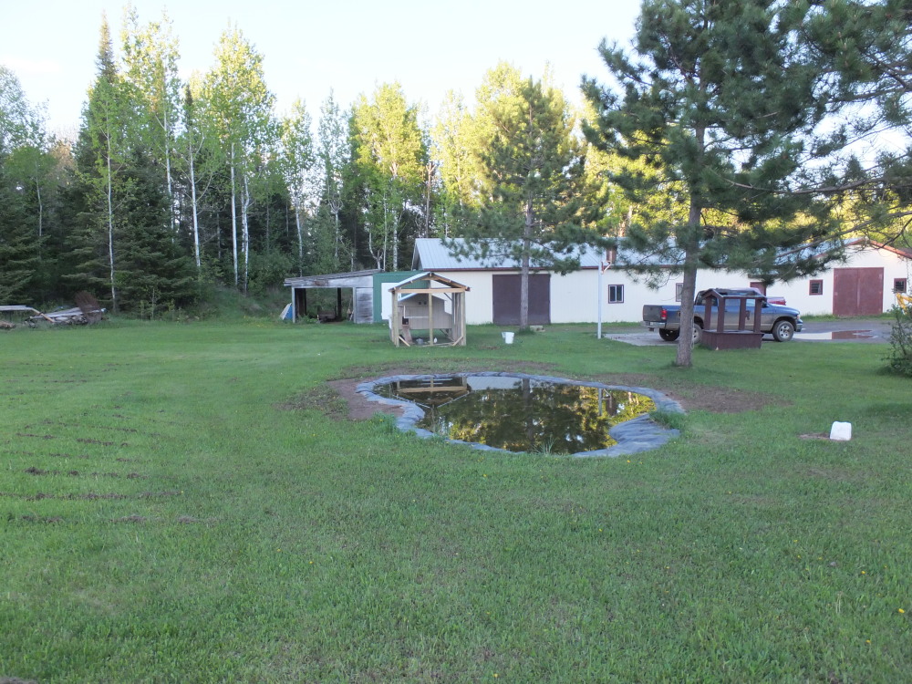 The coop in the background and the pond we made in the foreground for the ducks.  We used a liner to prevent leaking all our water away.  Surprisingly the water level remains all summer (with rain) and I only added a small amount of water (from the well) twice to maintain the level all summer long.  The ducks love the pond,  it was carefully placed north of two pines to provide shade during the mid-day. Pond measures 16' wide x 30' long and is 3' deep.  We had some floating plants but the ducks were eating them, so moved  the plants into tubs near the house.