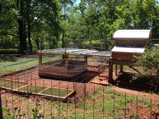 The coop is a kit from Urban coop, the run is built from panels from dog crates.  My compost bin is in the middle of run and grazing boxes are on either side of the run right next to the dog crate panels.