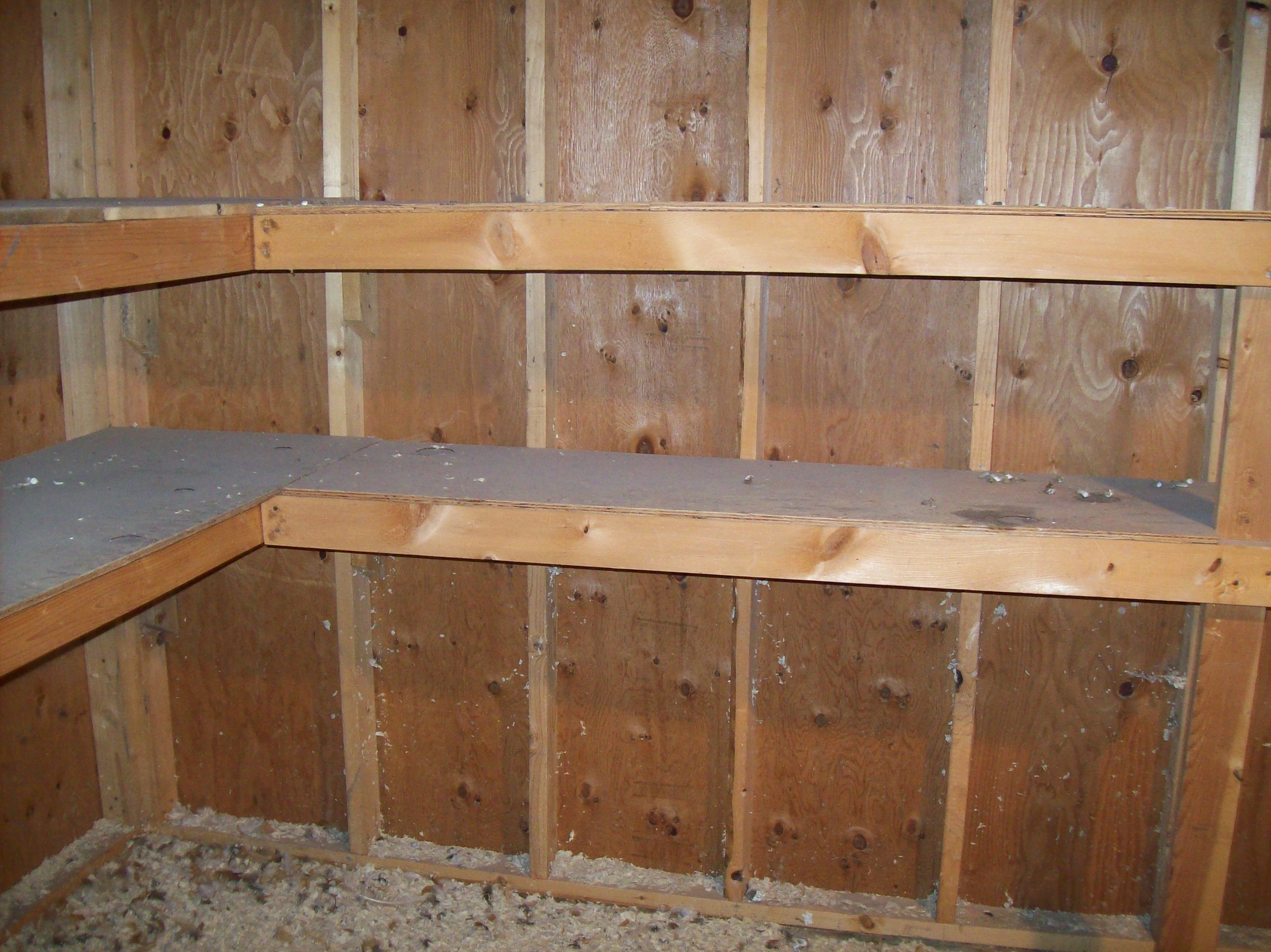 The "coop" is actually the shed that I took over and converted, so it has shelves...