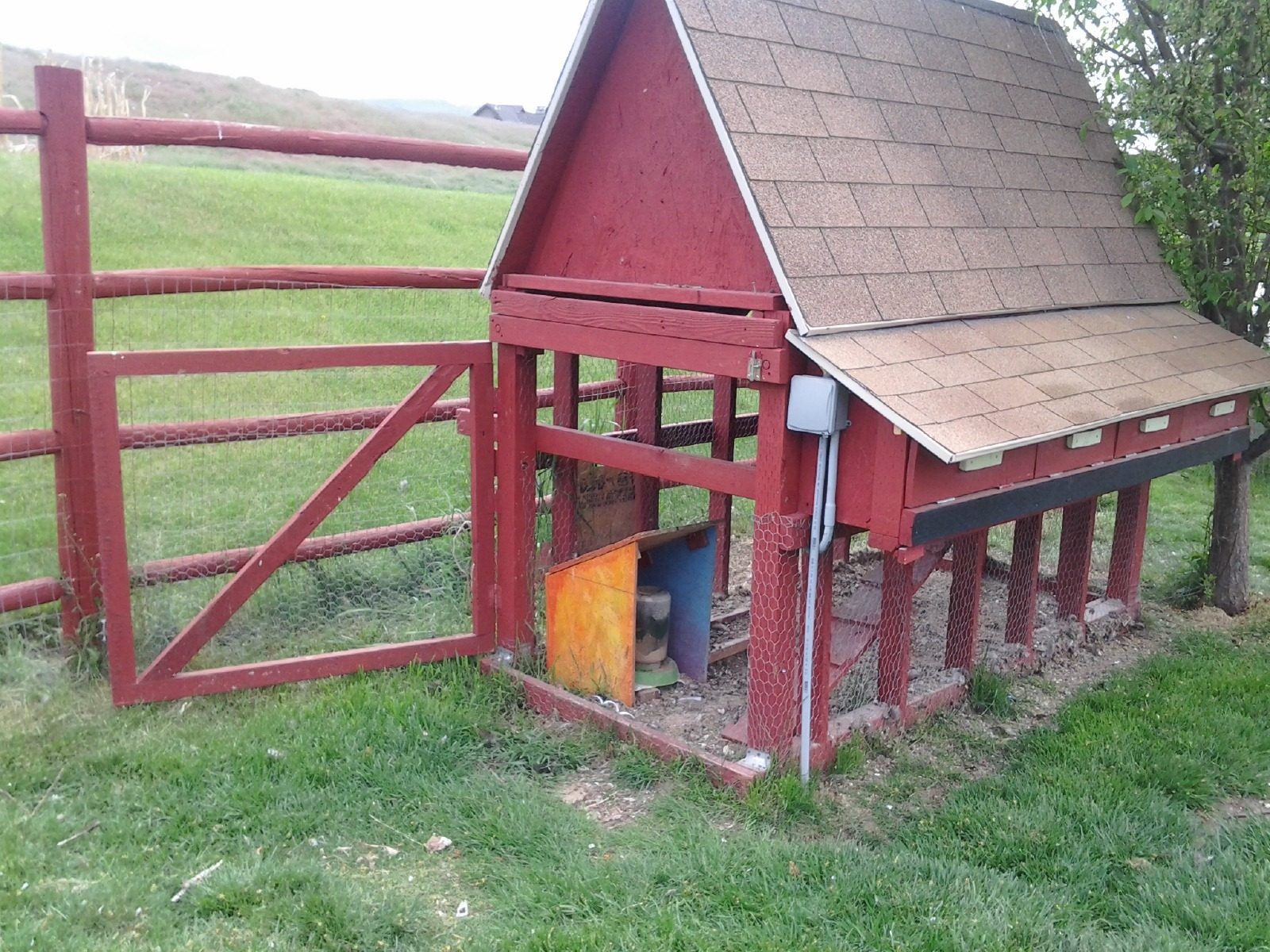 The coop is mobile if we remove the power source.  It is build on solid 4x4" redwood posts with 1x5 stained slats underneath.  Chicken-wire wraps around the bottom to keep out the varmints.
The roof and 2x4s are not cut length wise. Standard plywood for the roof, uncut. The 4x4s are also non-cut length wise.