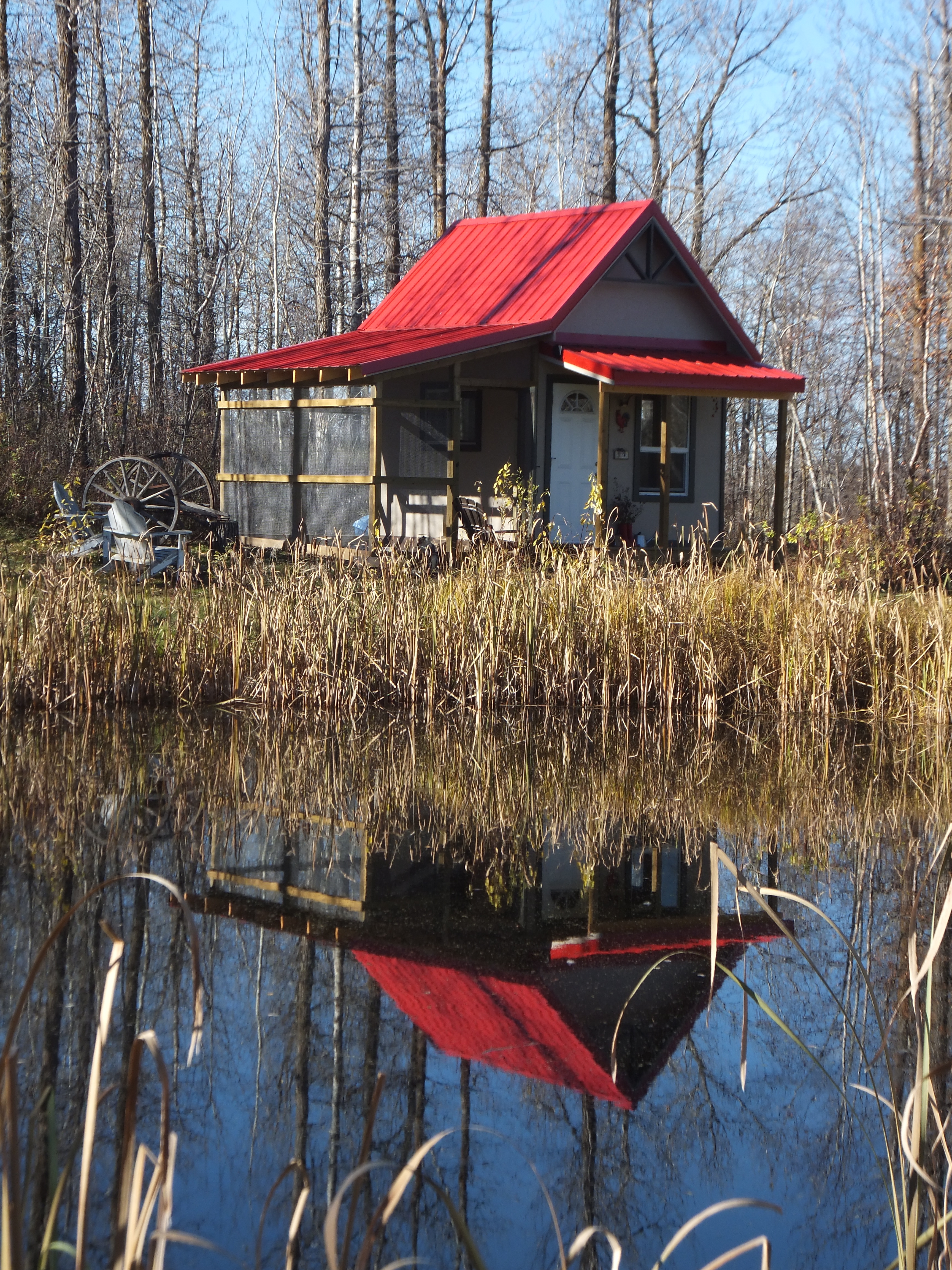 The coop just before winter.