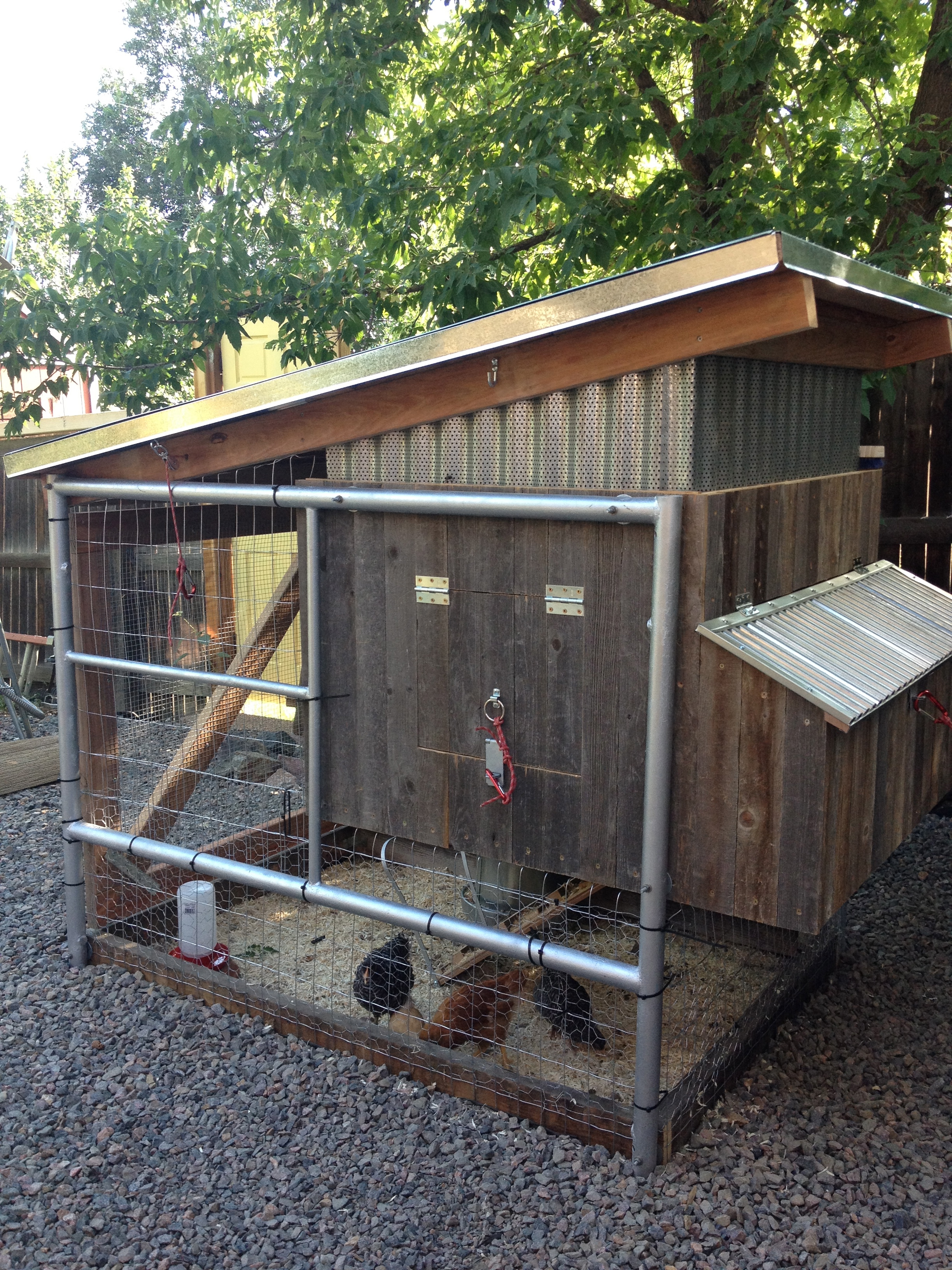 The coop made mostly of recycled fence and painting scaffold