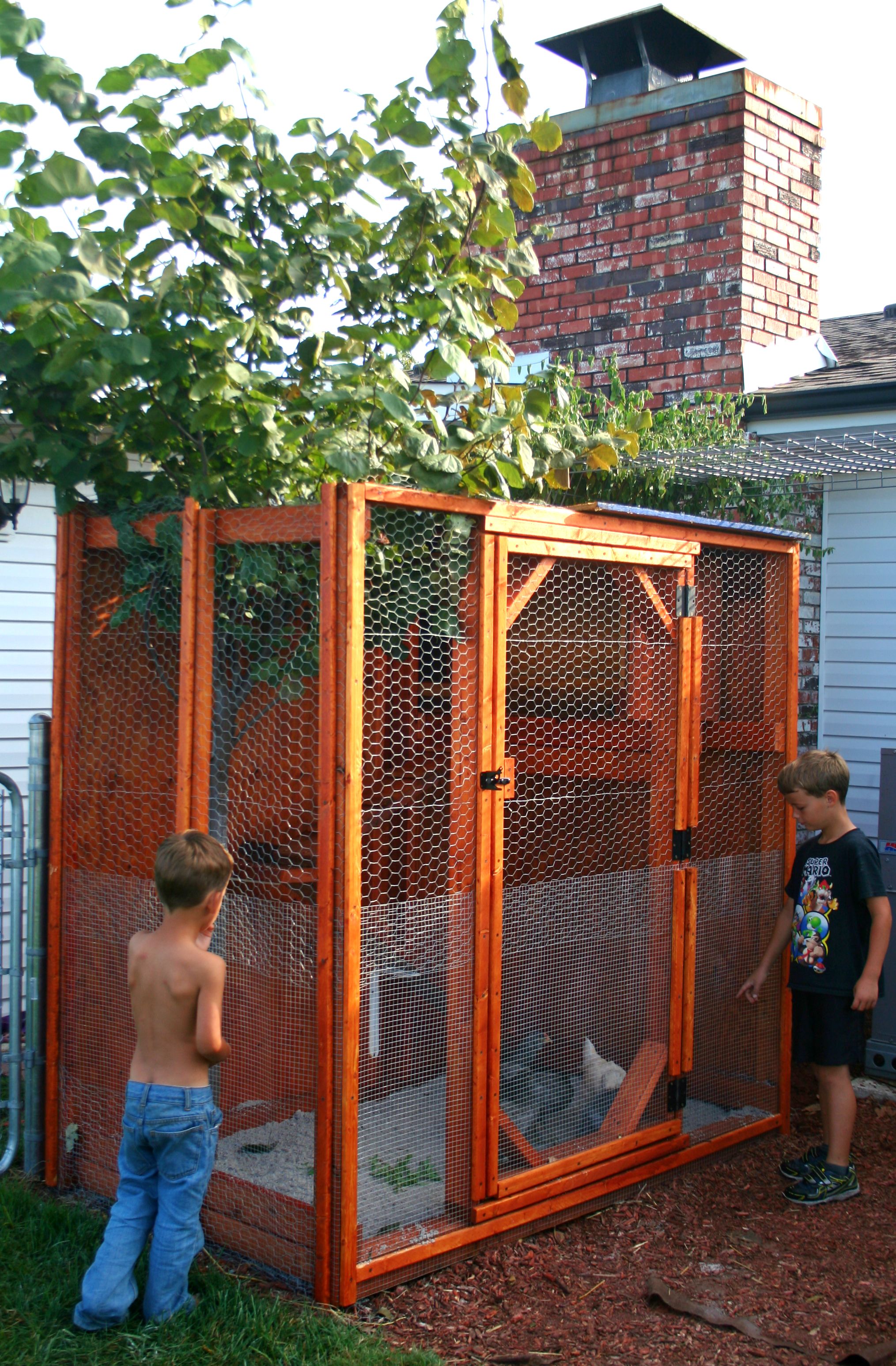 The coop my amazing husband built for me! I love it!