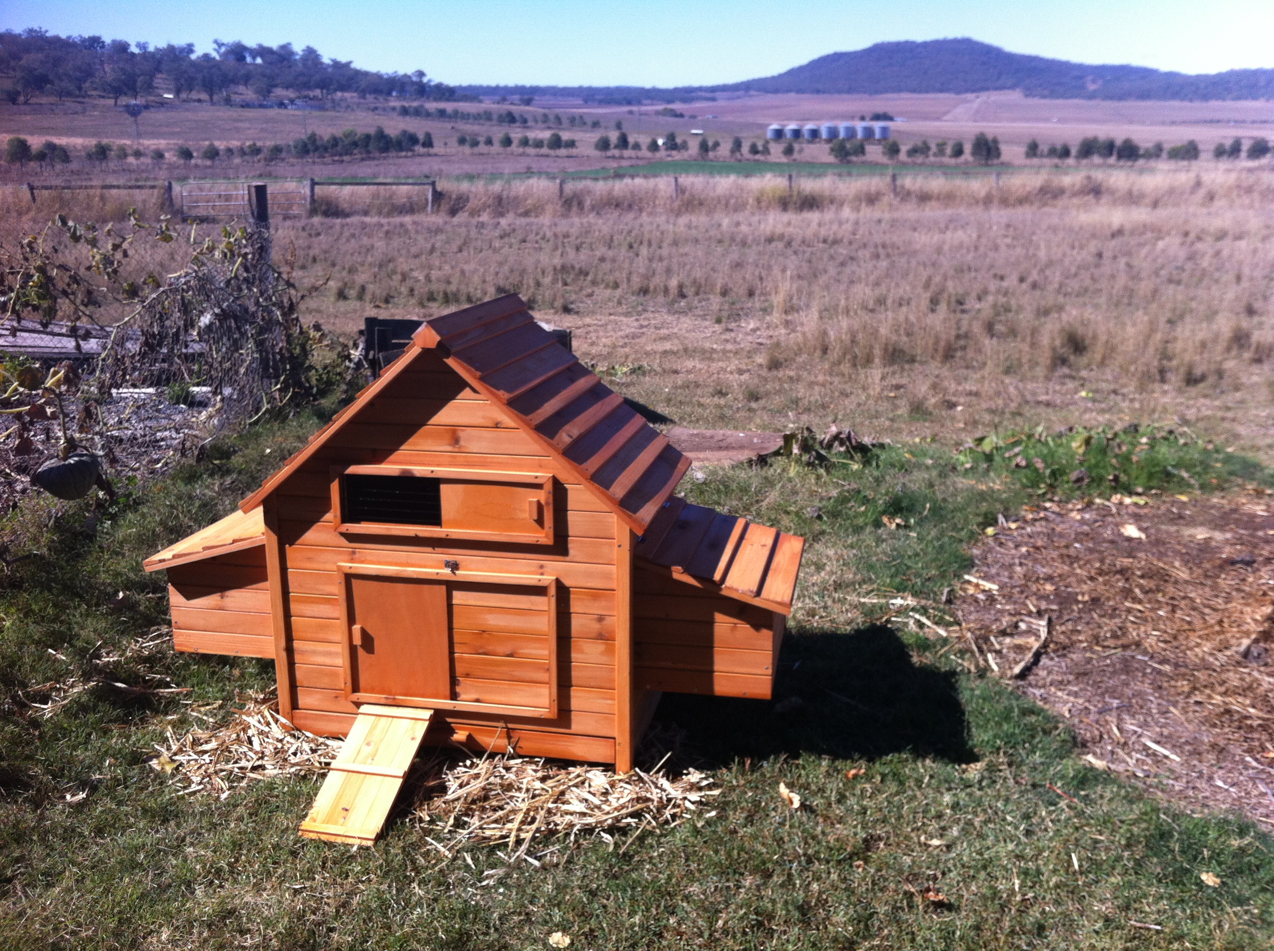The coop next to the vege patch.