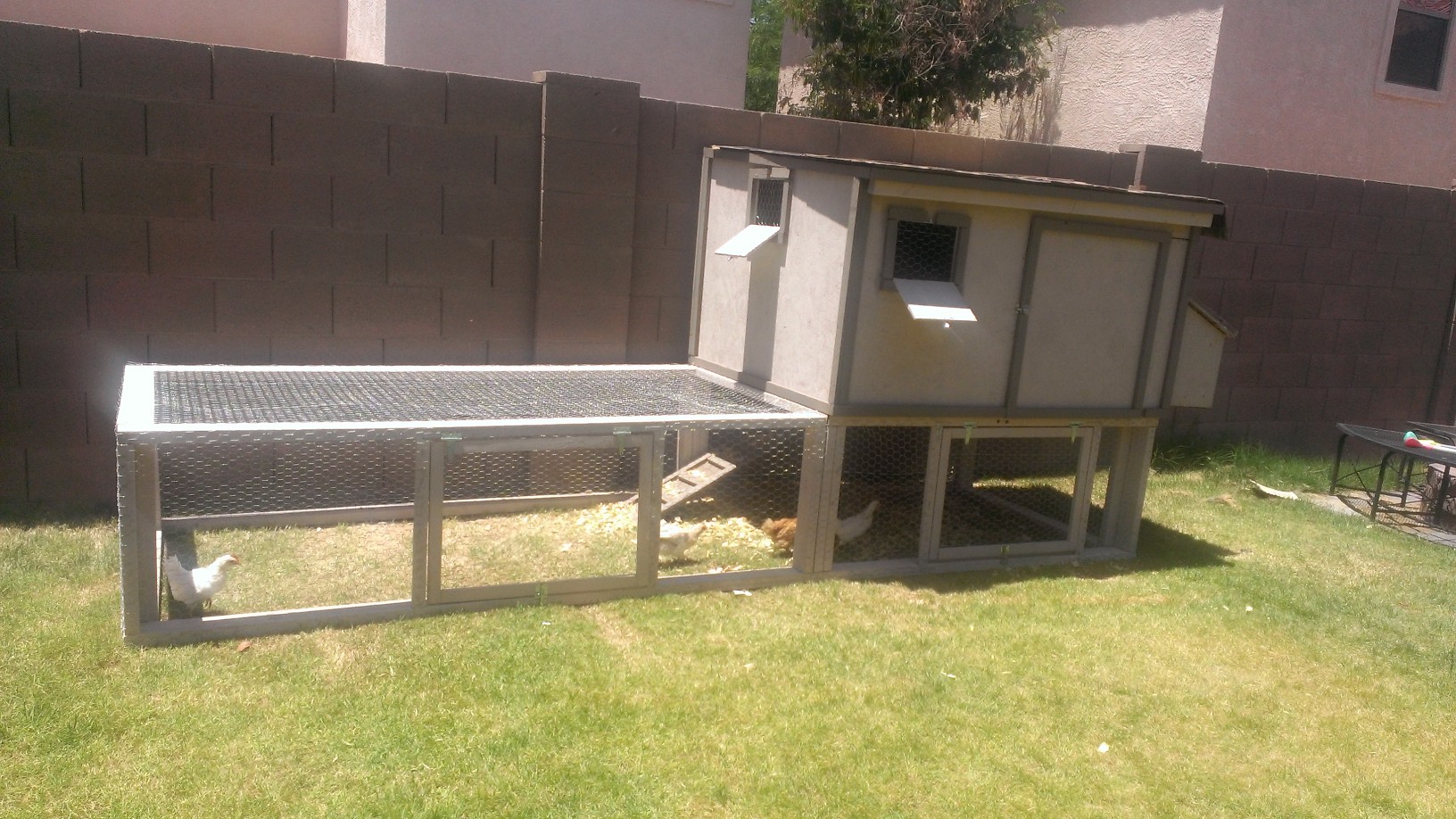 The coop s finished!
