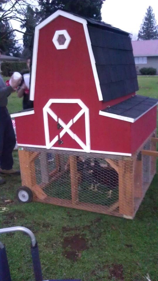 The coop. We purchased from a family nearby, but it needs some modifications. Ramp is too steep, opening is too small, roosts are awkward...it will be glorious when we are through fixing it!