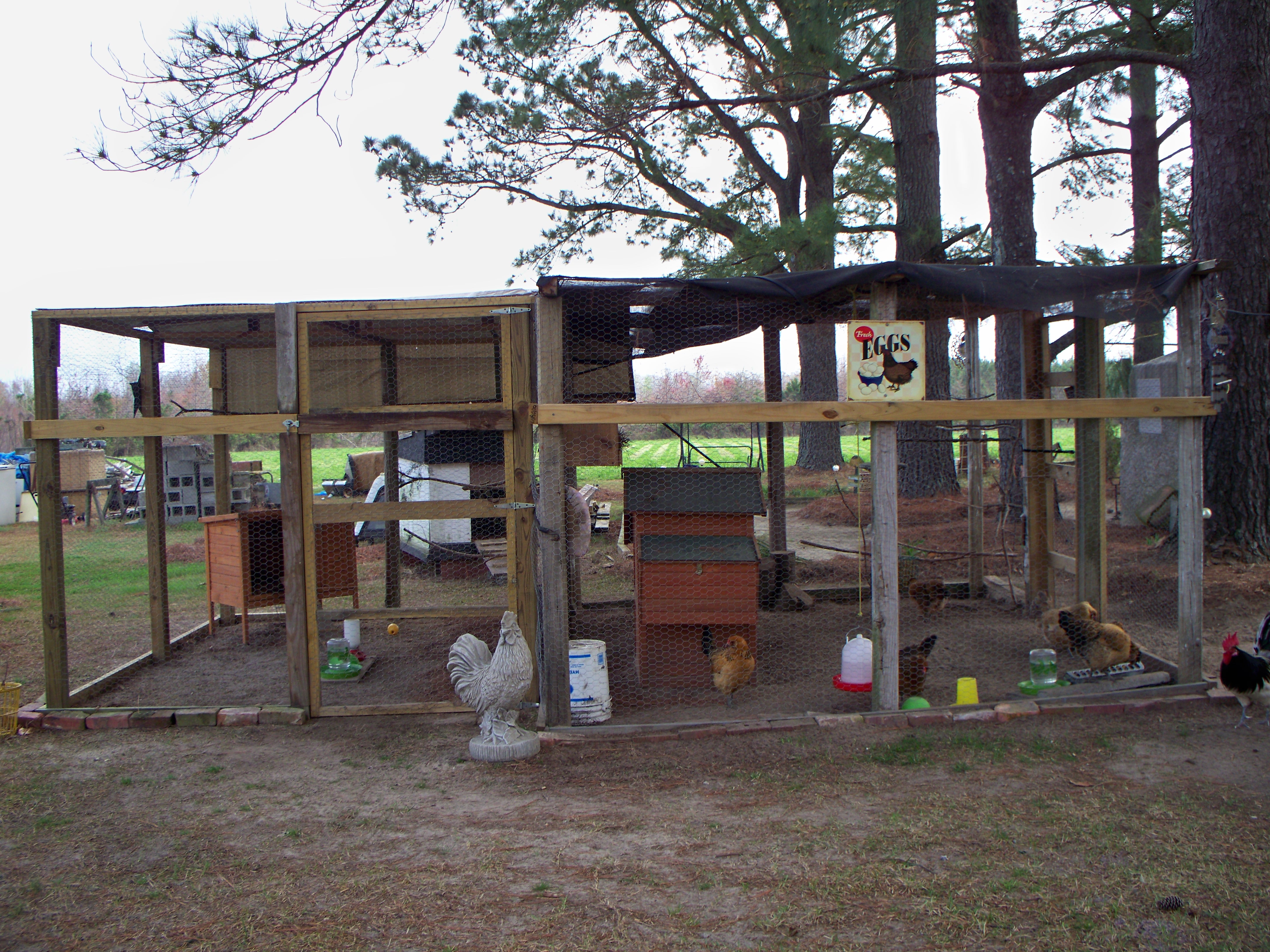 The Coop