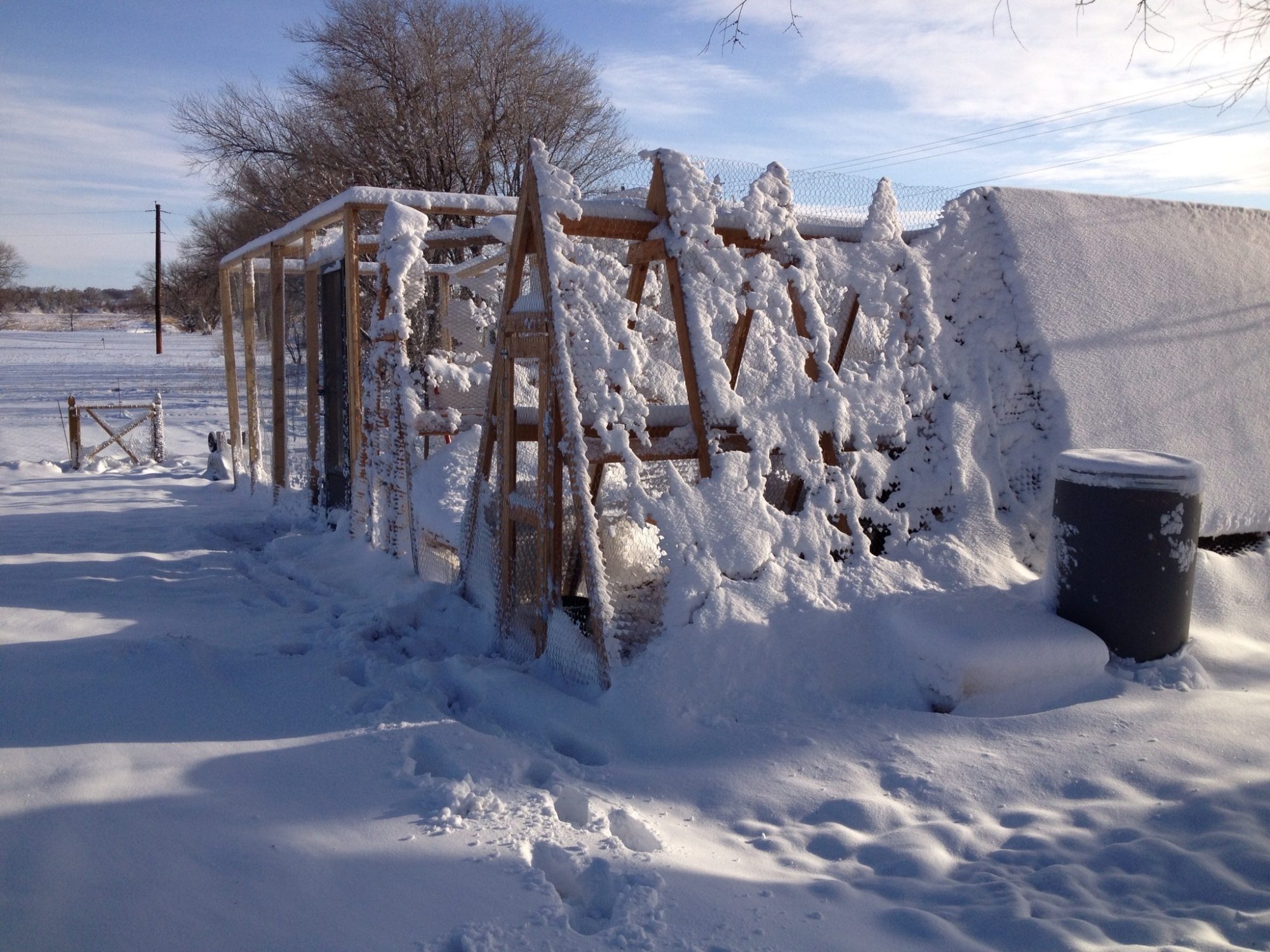 The coops look like igloos