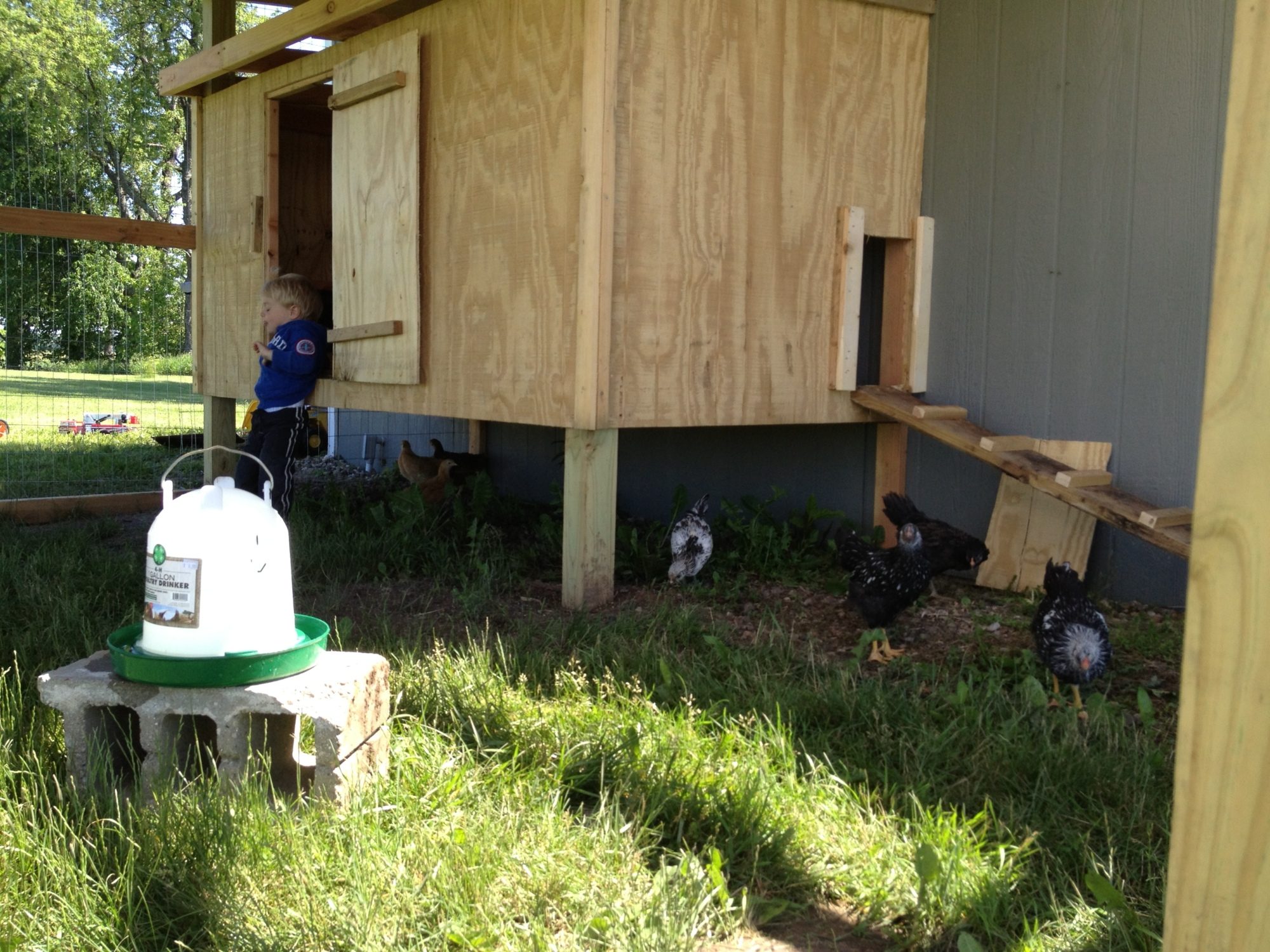 The copp itself is 4X8 with a nesting box off the side with a flip lid.  It can be accessed from the outside of the run.  The run is 12X16