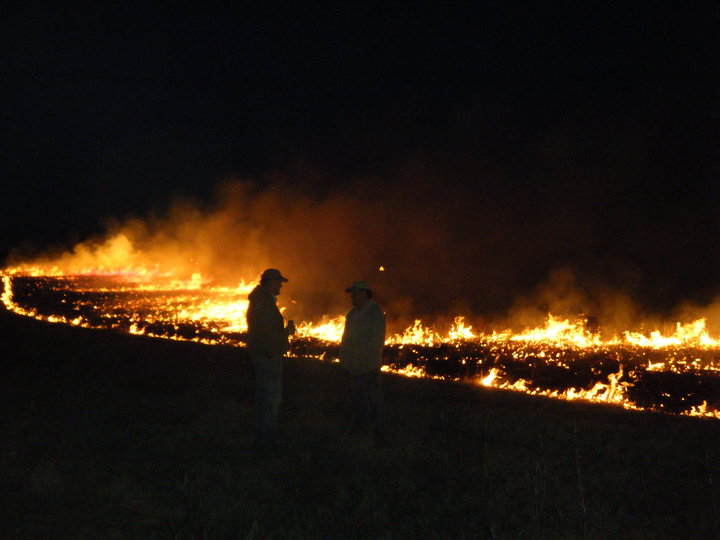 The cowboys standing in front of the fire.