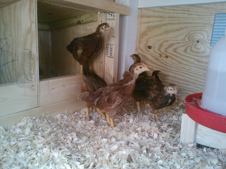 *
The day they moved in.