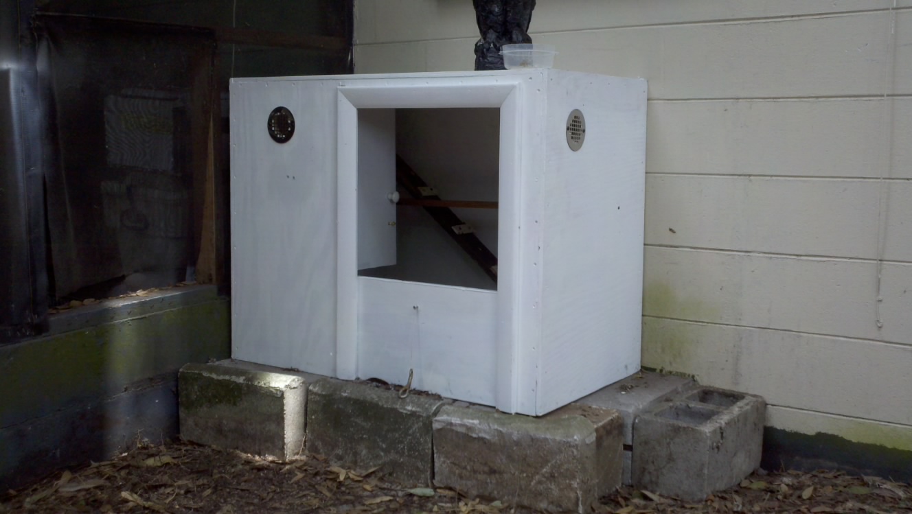 The dog house made into a  coop for three hens. Dirt floor with the coop sitting on blocks.