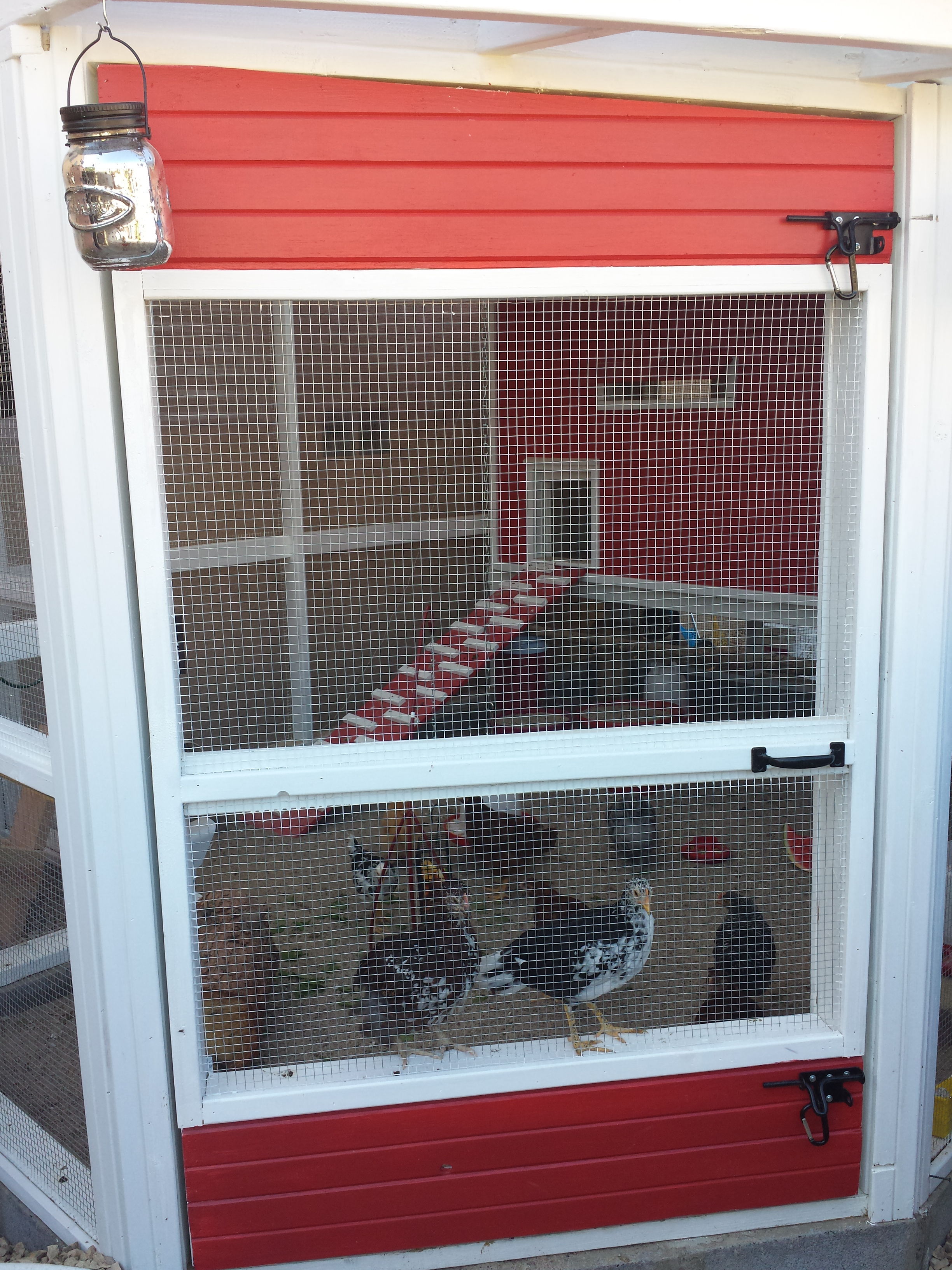 The door to the coop opens inward and the girls jump up and ride the door as I ope it