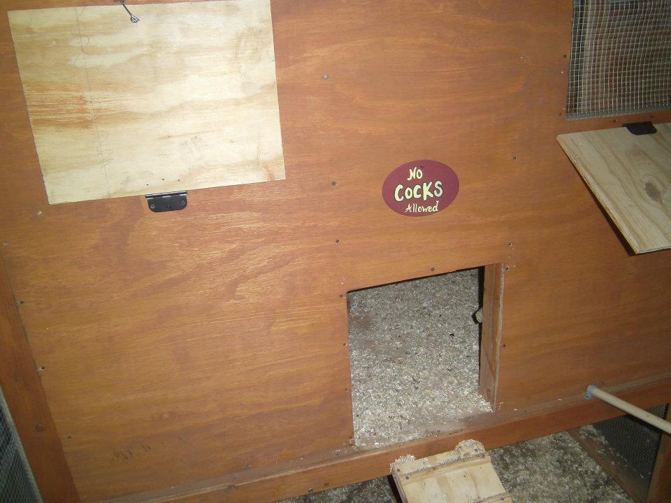 the door to the hen house ...and the windows that he still needed to stain.